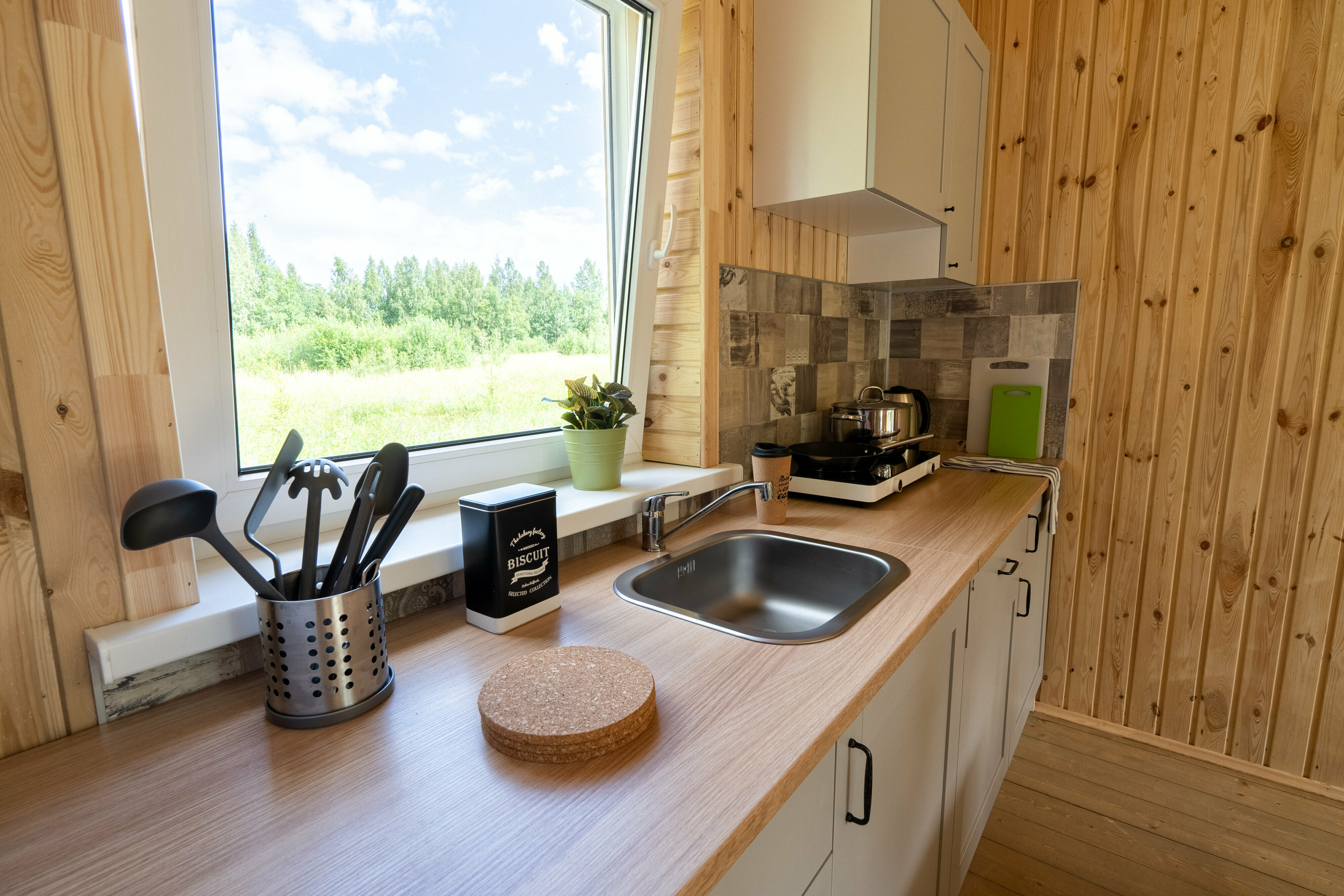 Дом с видом на лес