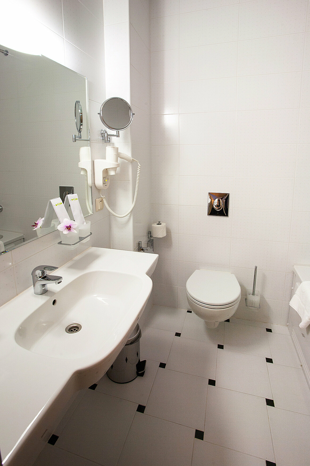 Стандартный номер (можно с питомцем)