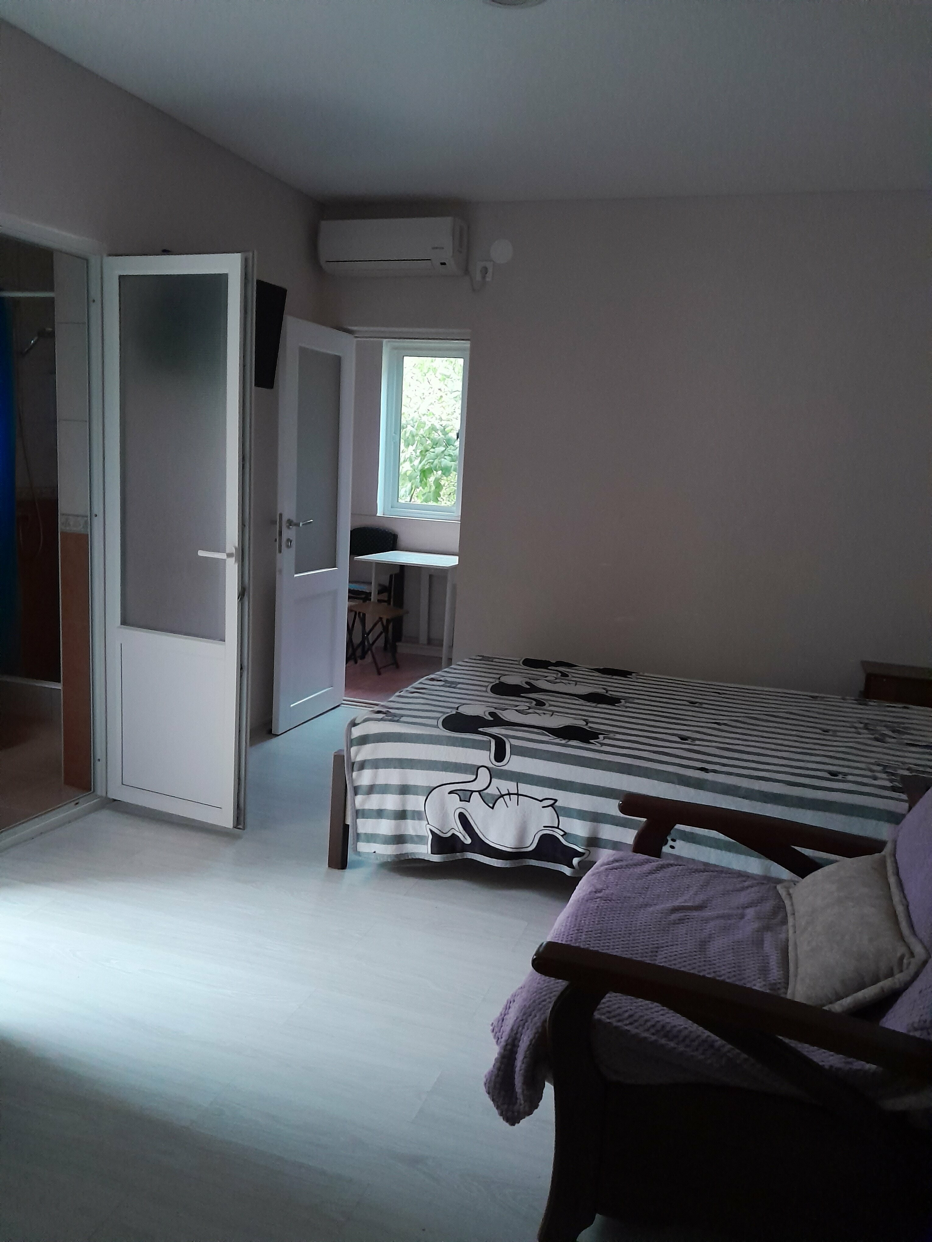 трехместный номер с кухней, санузлом , балконом