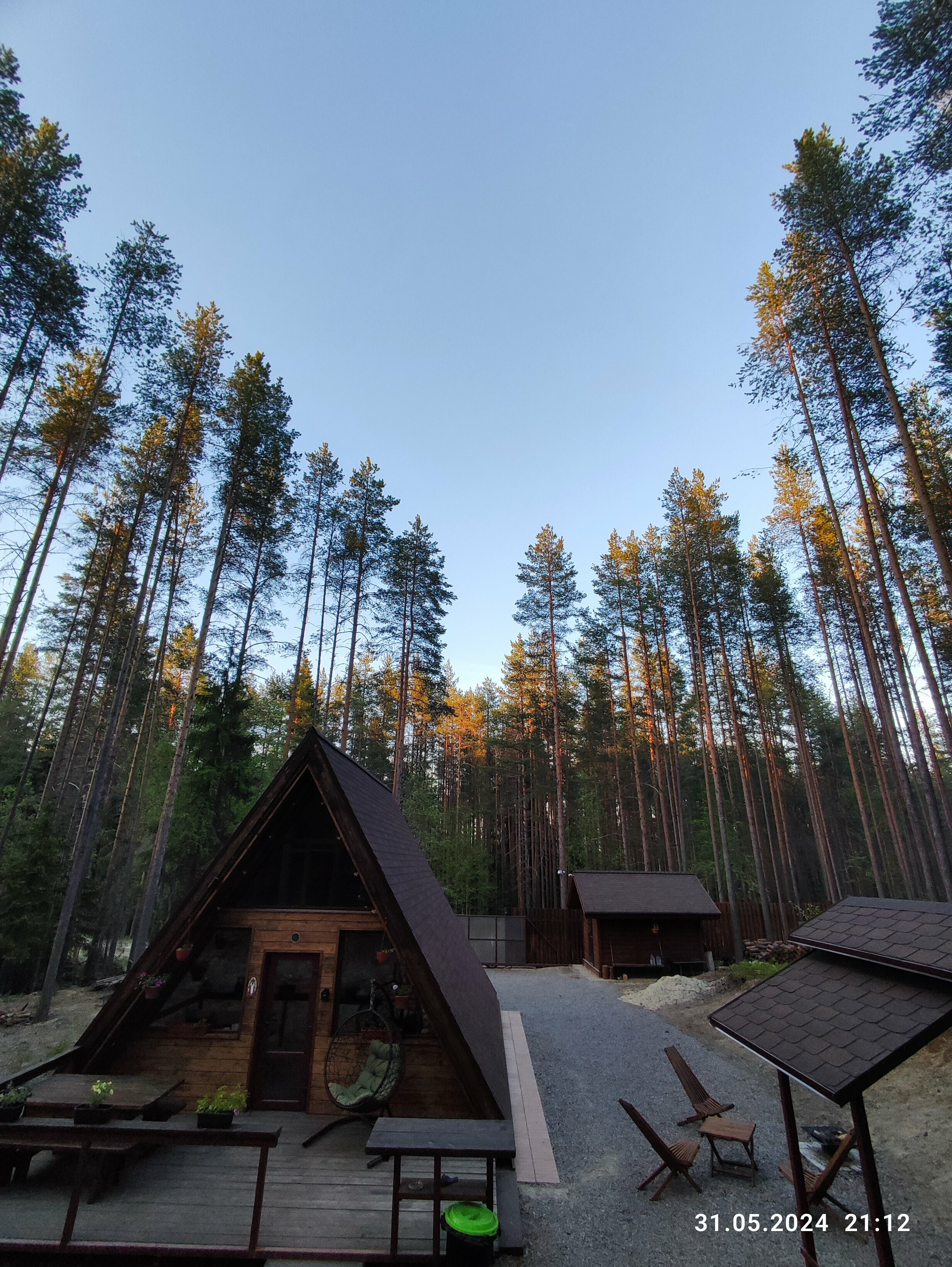 Коттедж с видом на лес