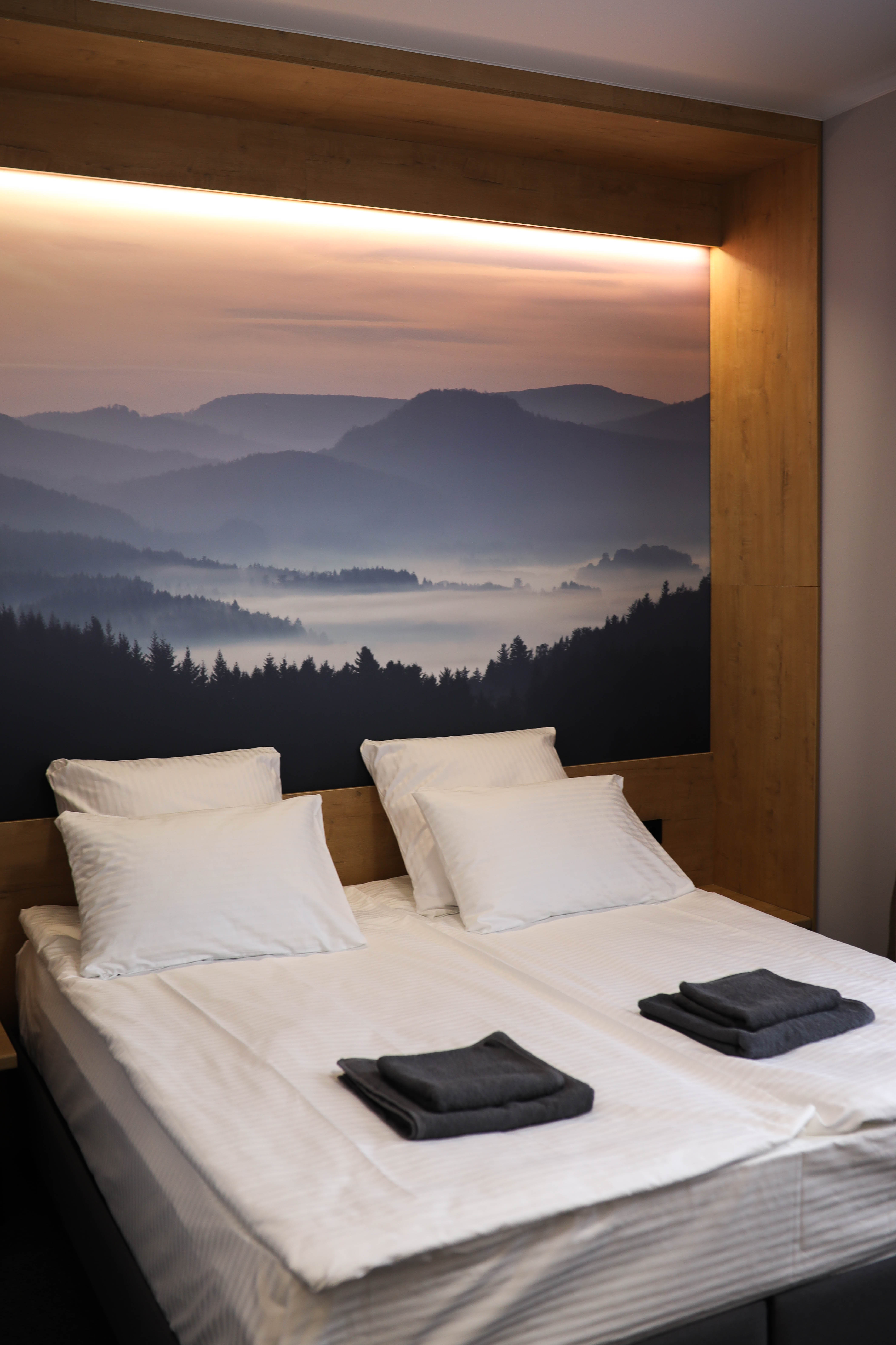 Стандартный двухместный номер с 1 кроватью или 2 отдельными кроватями