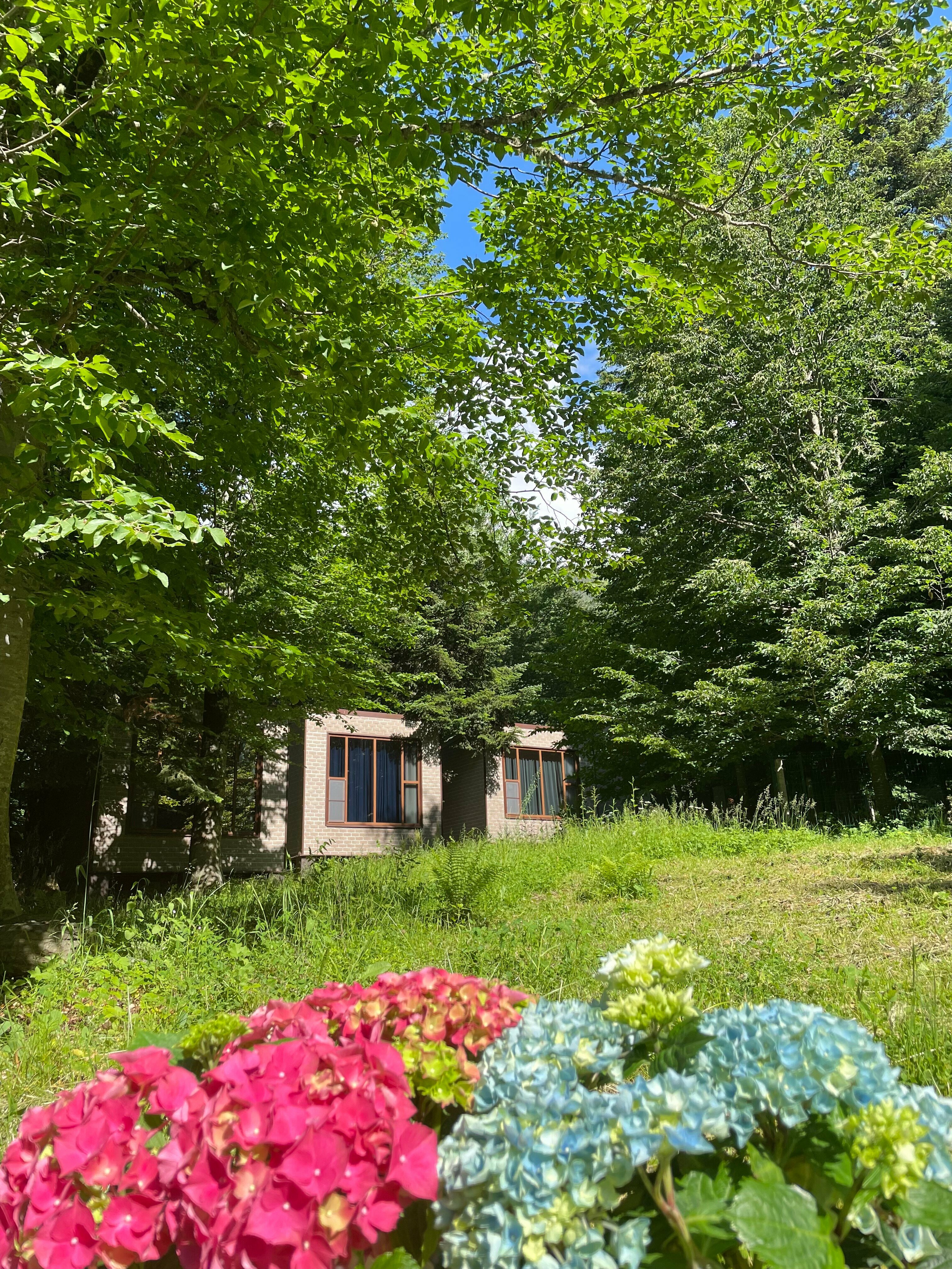 Трехместный номер