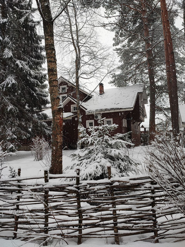 Двухместный номер с 2 отдельными кроватями и балконом в Green forest