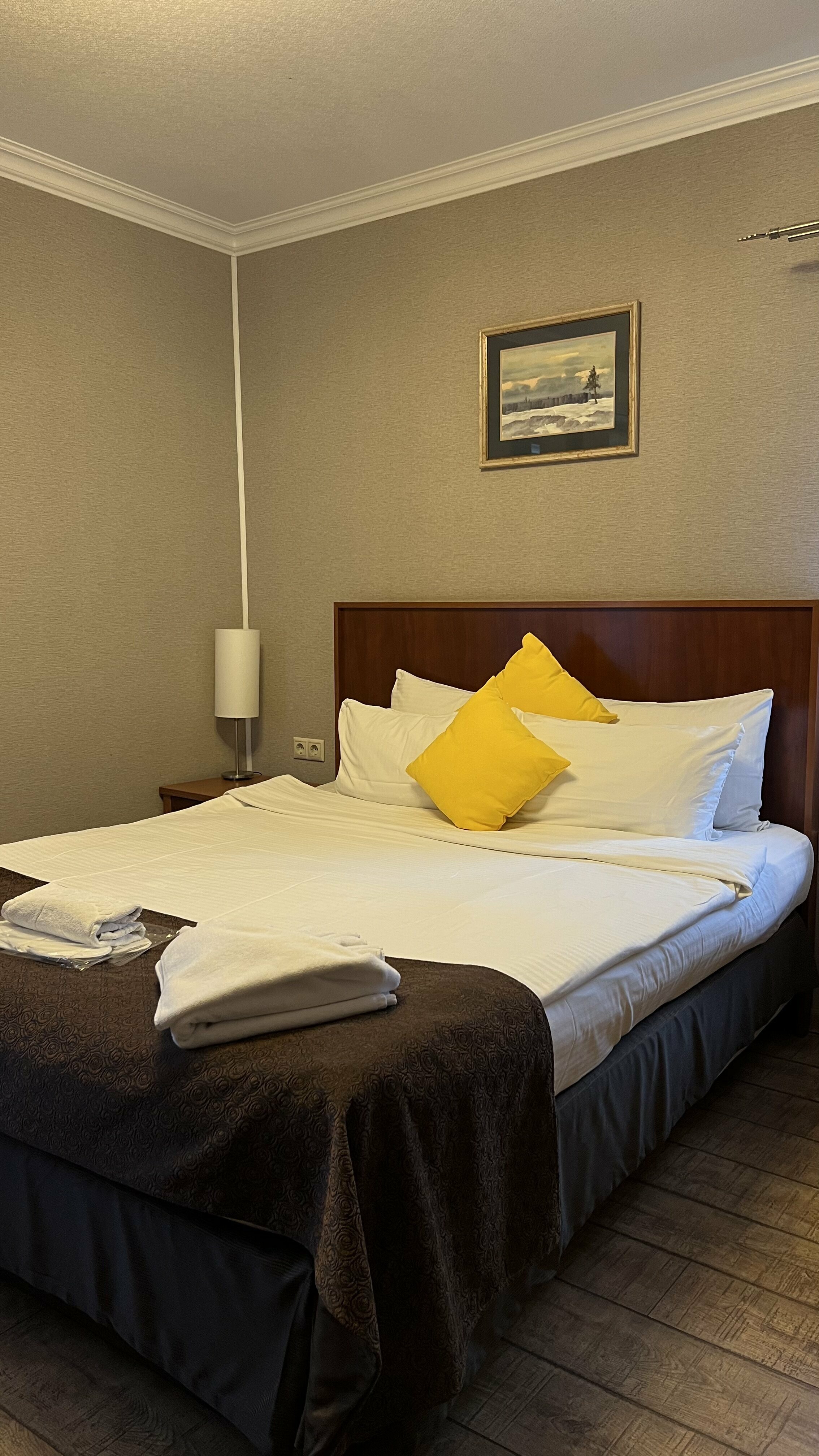 Двухместный номер с 1 кроватью