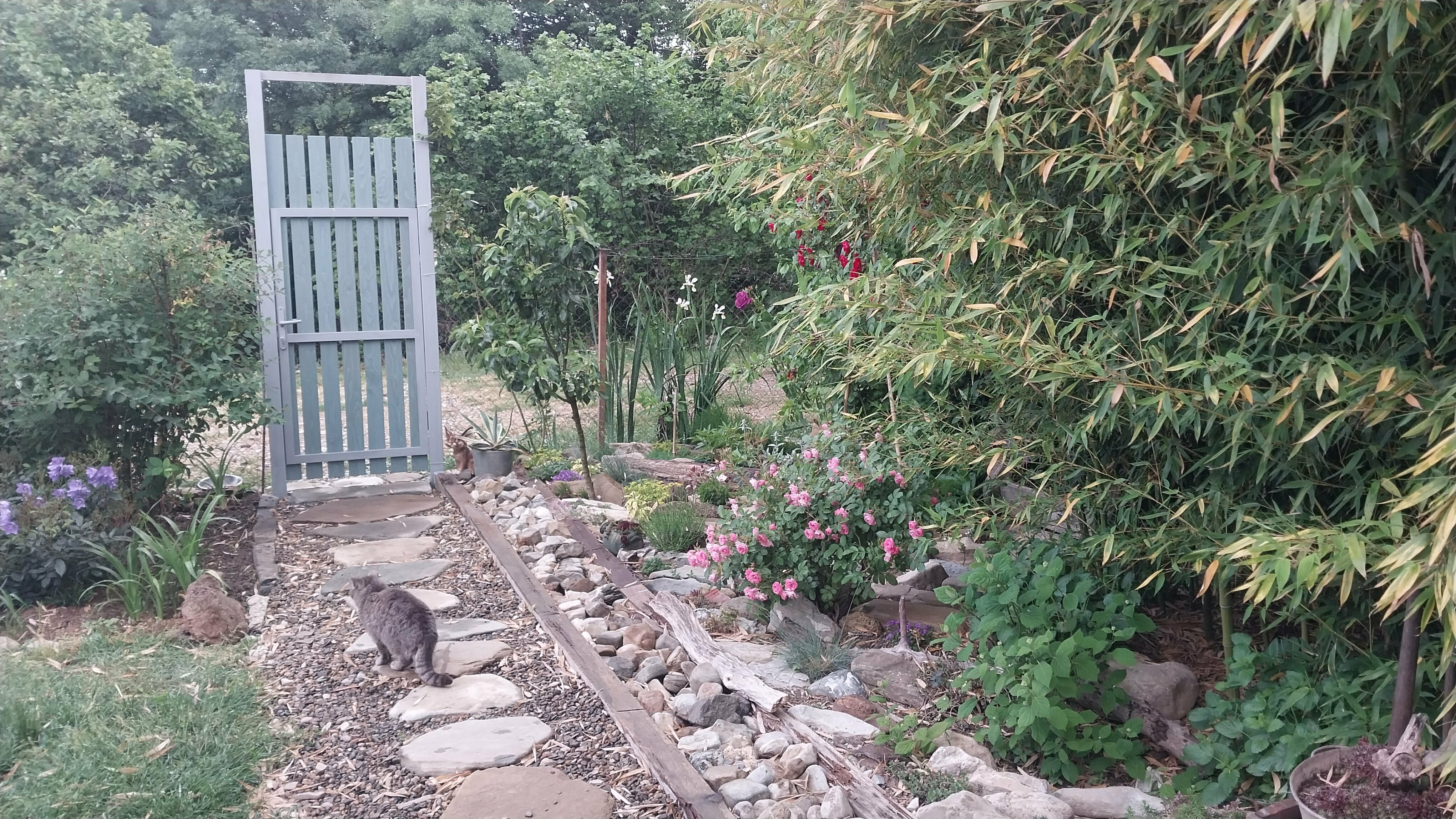 Классический четырехместный номер