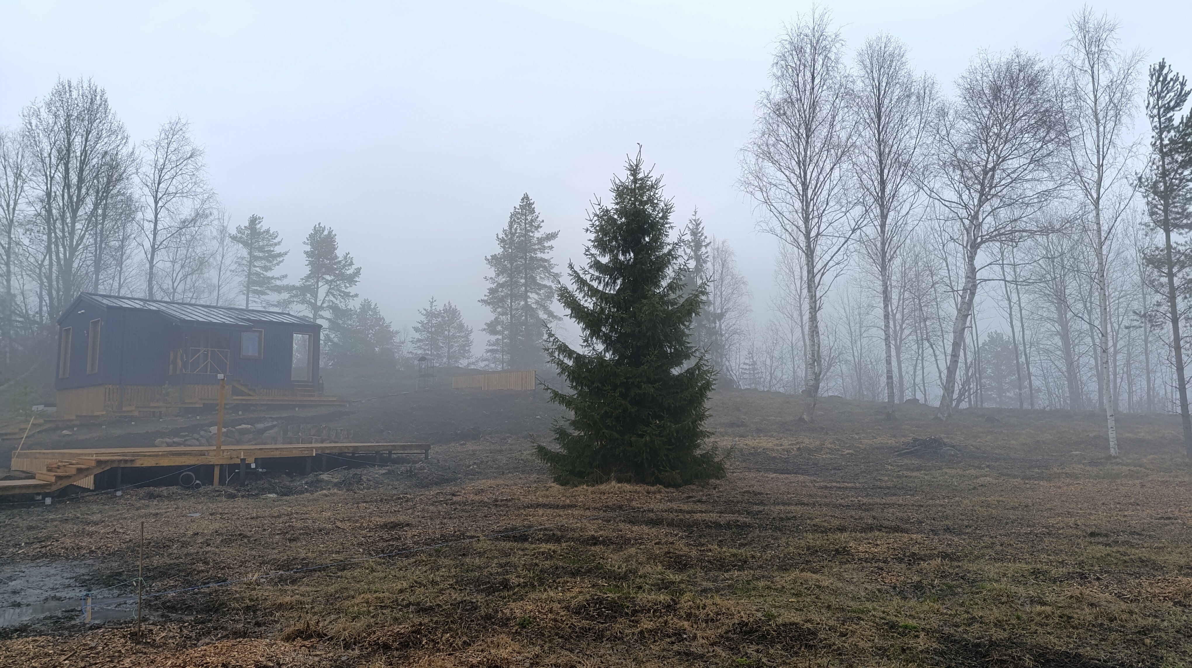 Дом с видом на лес