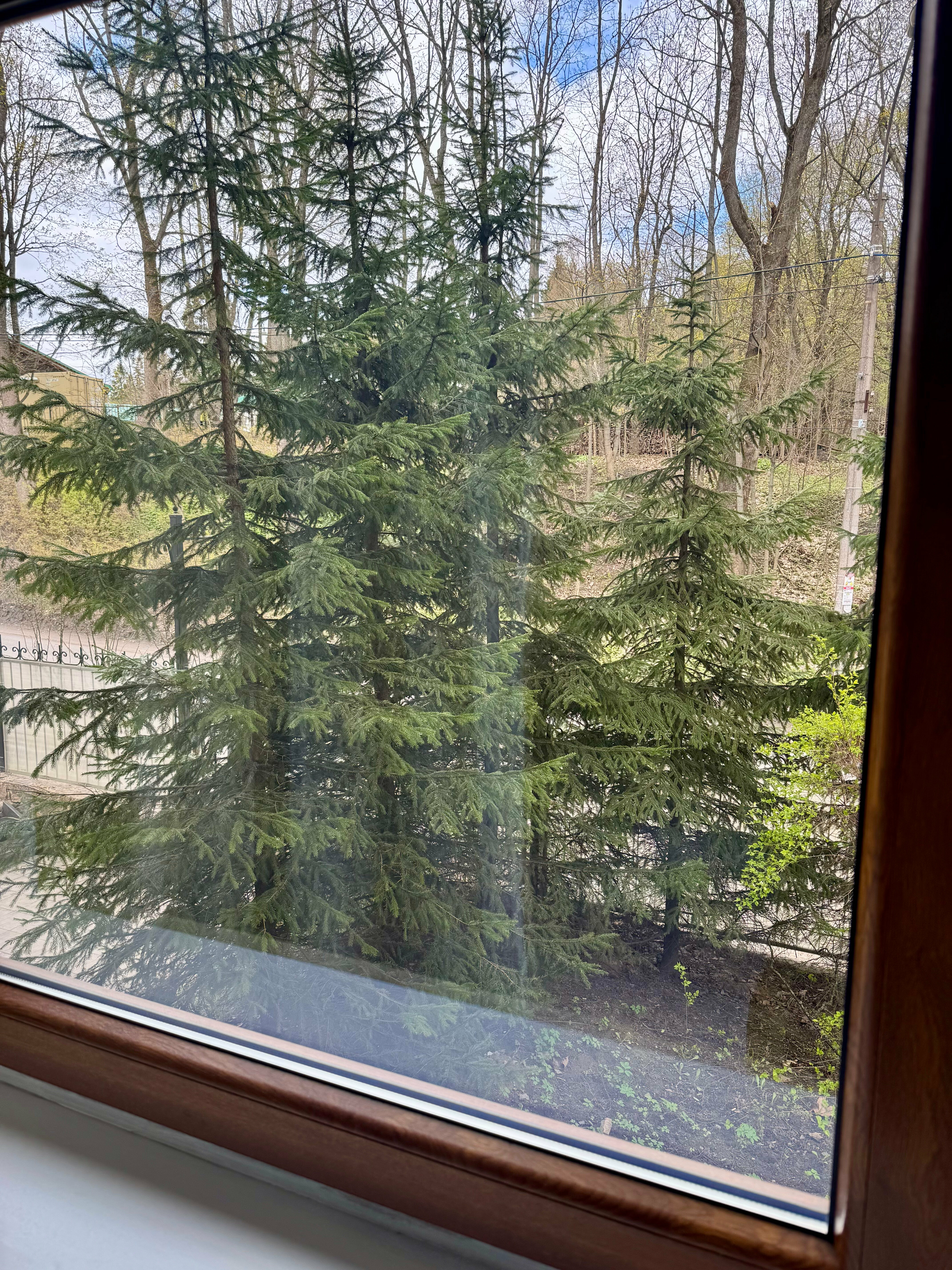 Стандартный двухместный номер с 1 кроватью