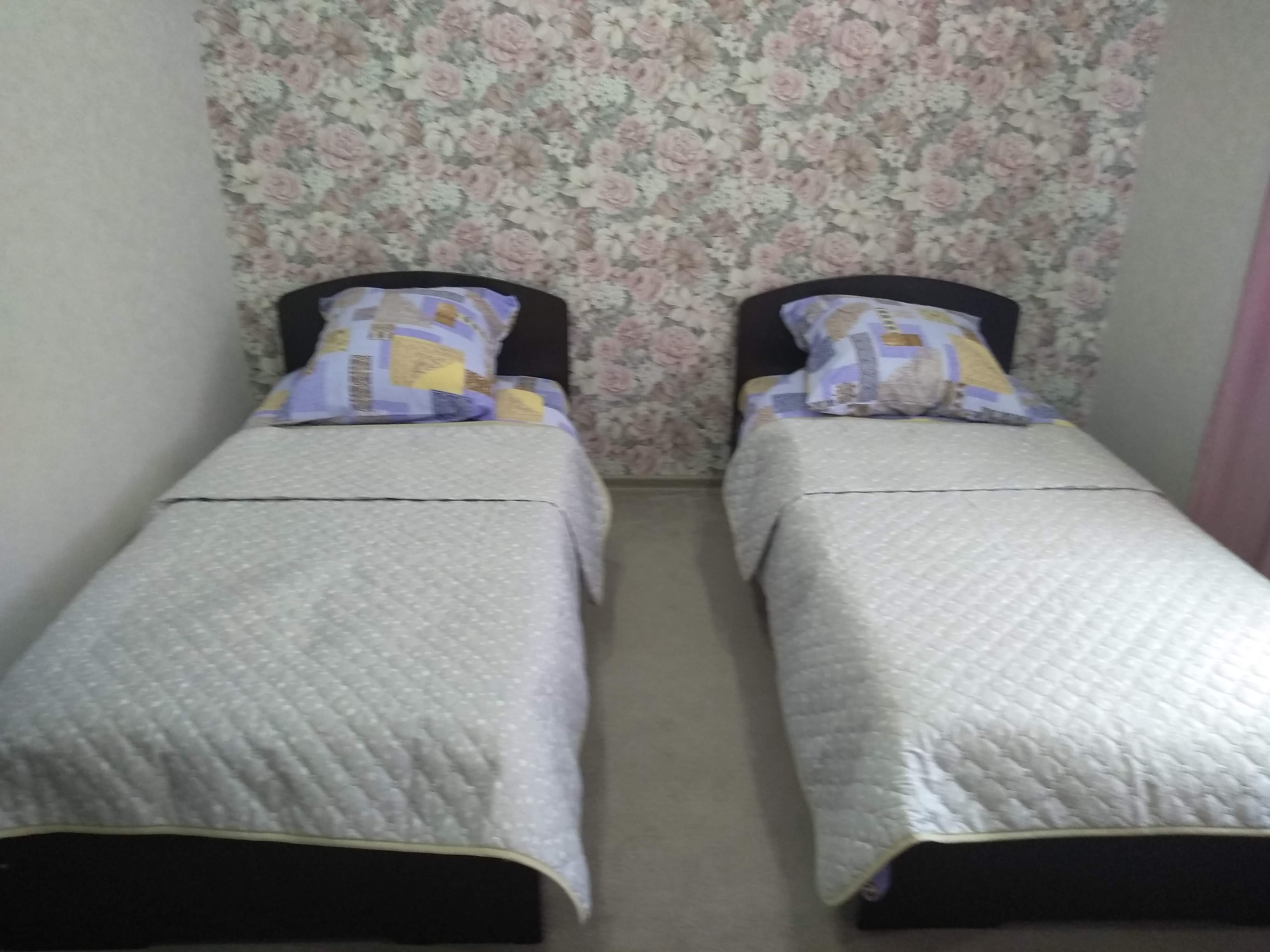 Двухместный номер с 2 отдельными кроватями и душем