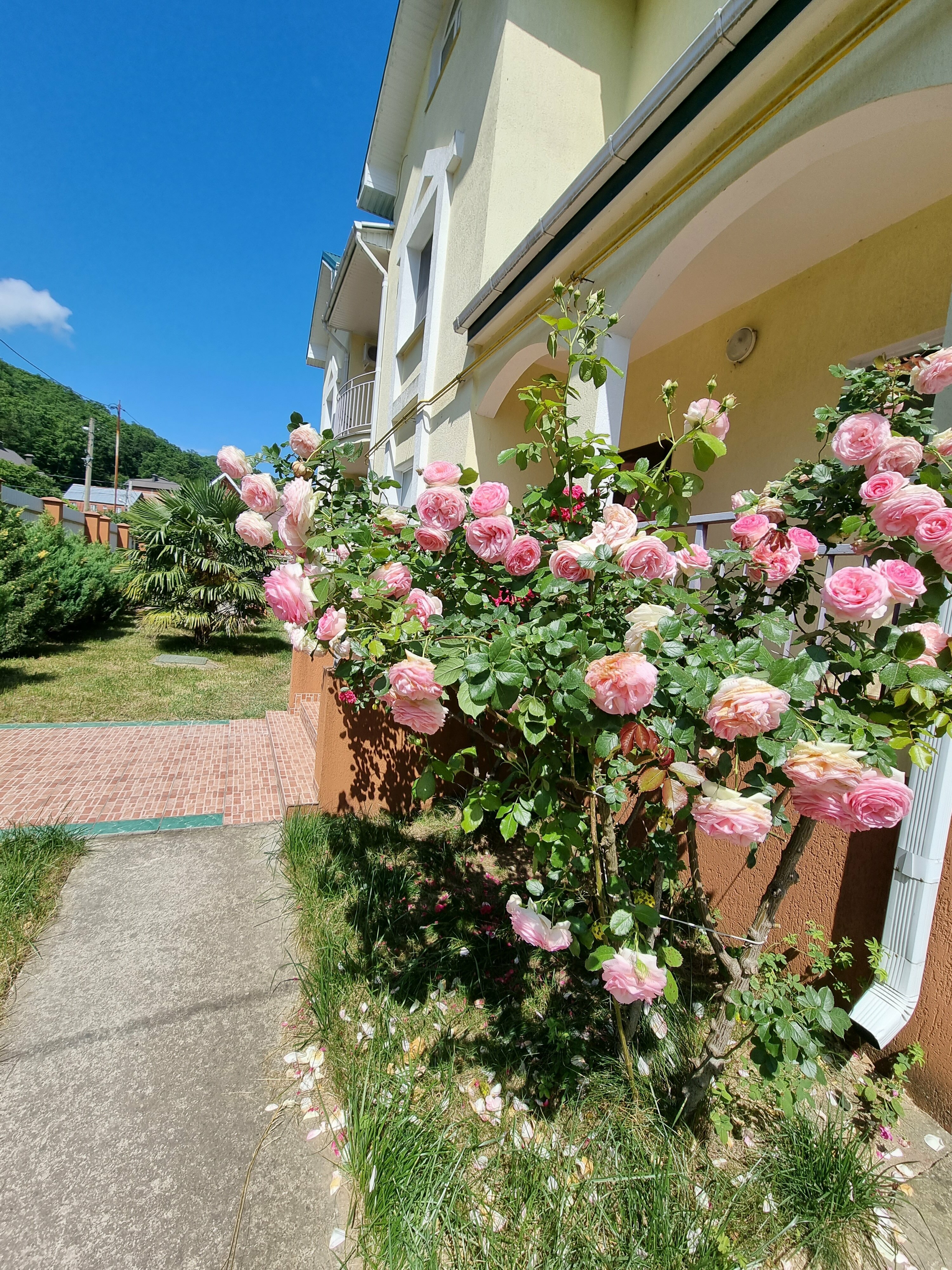 Бюджетный двухместный номер с 1 кроватью