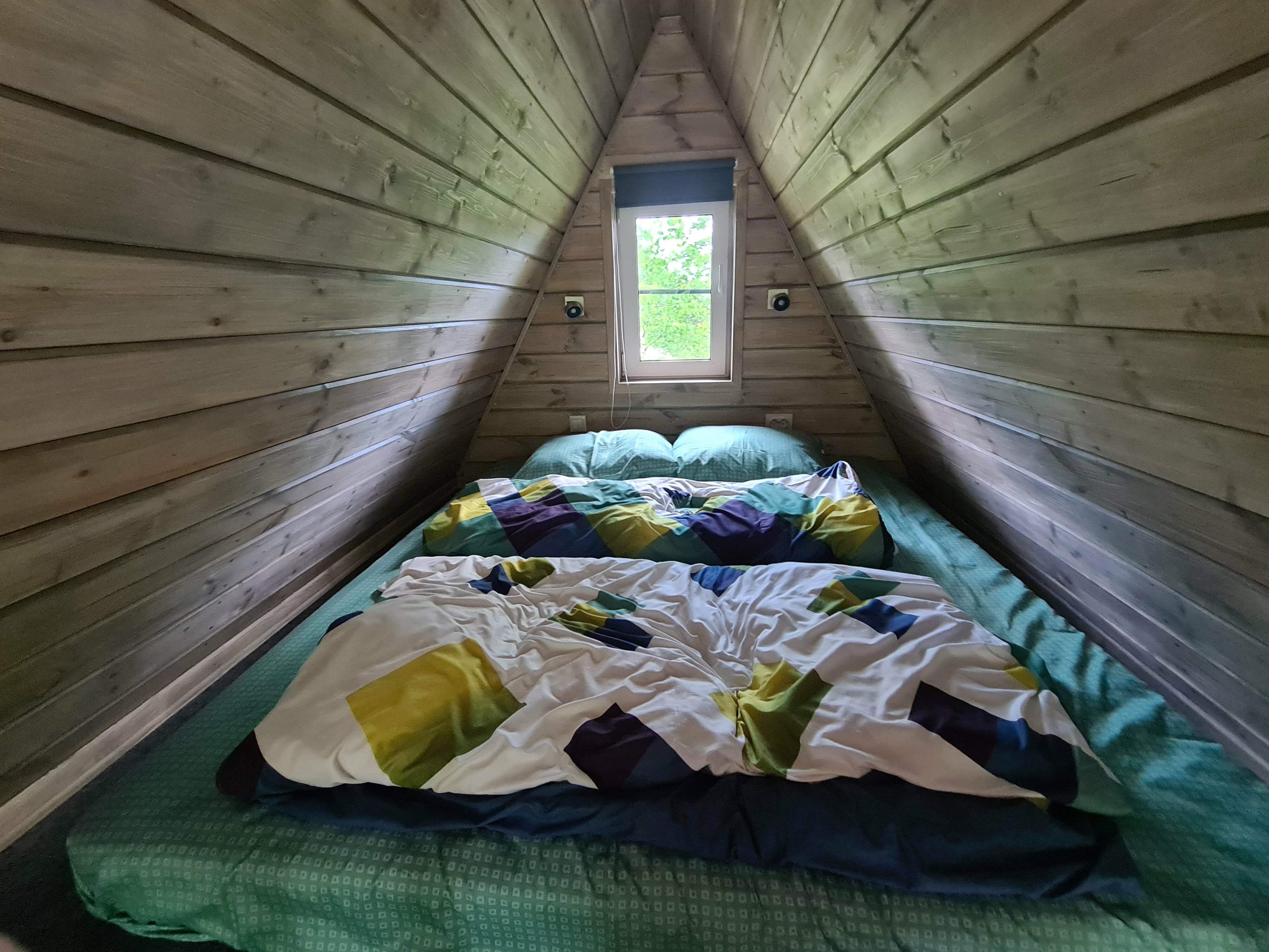 Дом с видом на лес