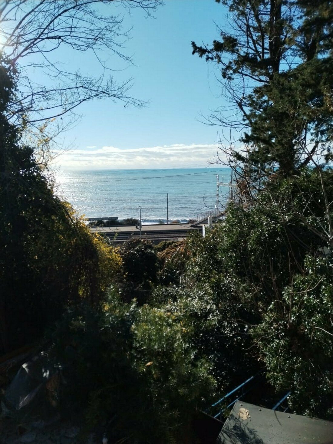 Апартаменты