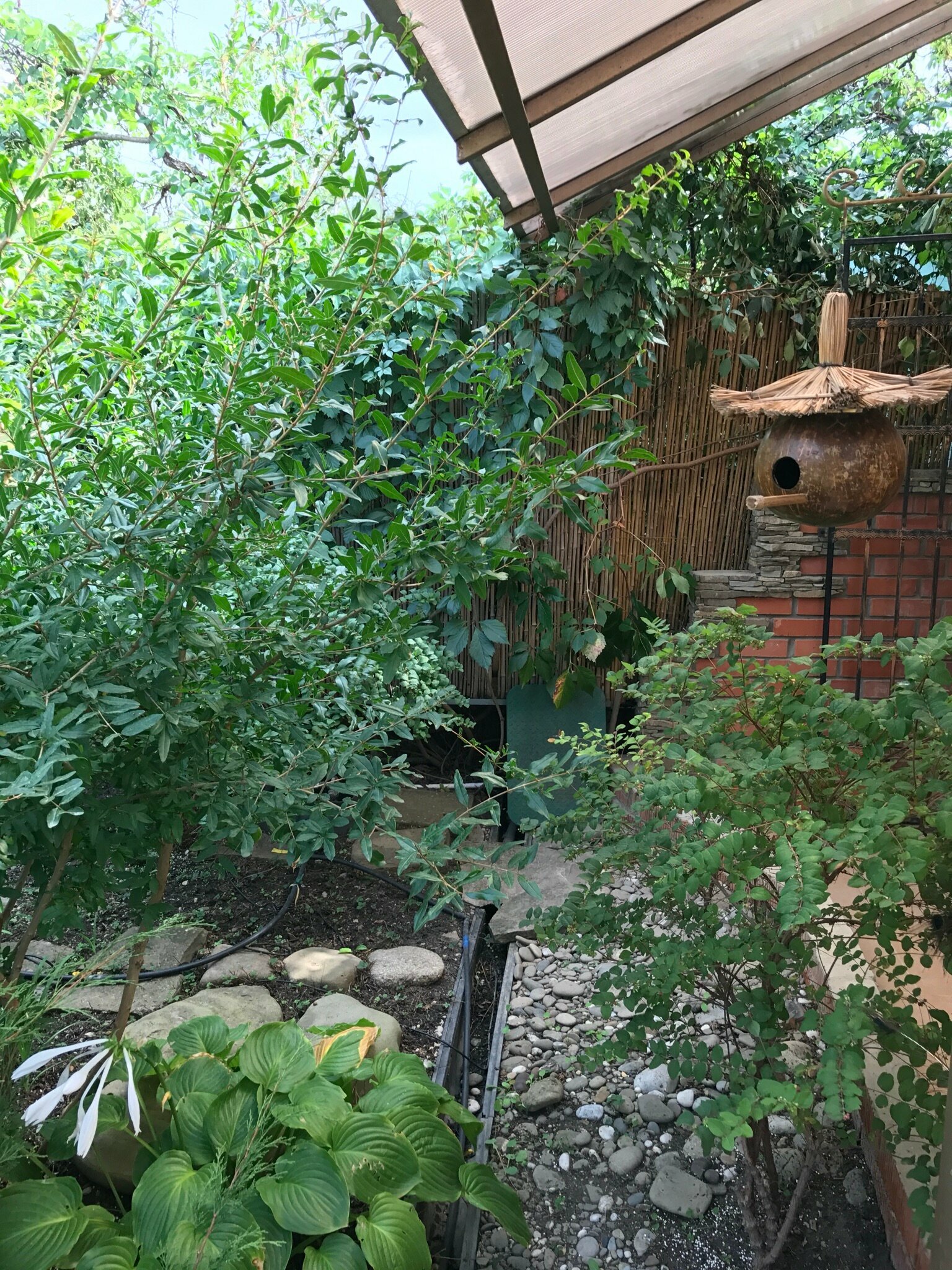 Семейный номер с балконом