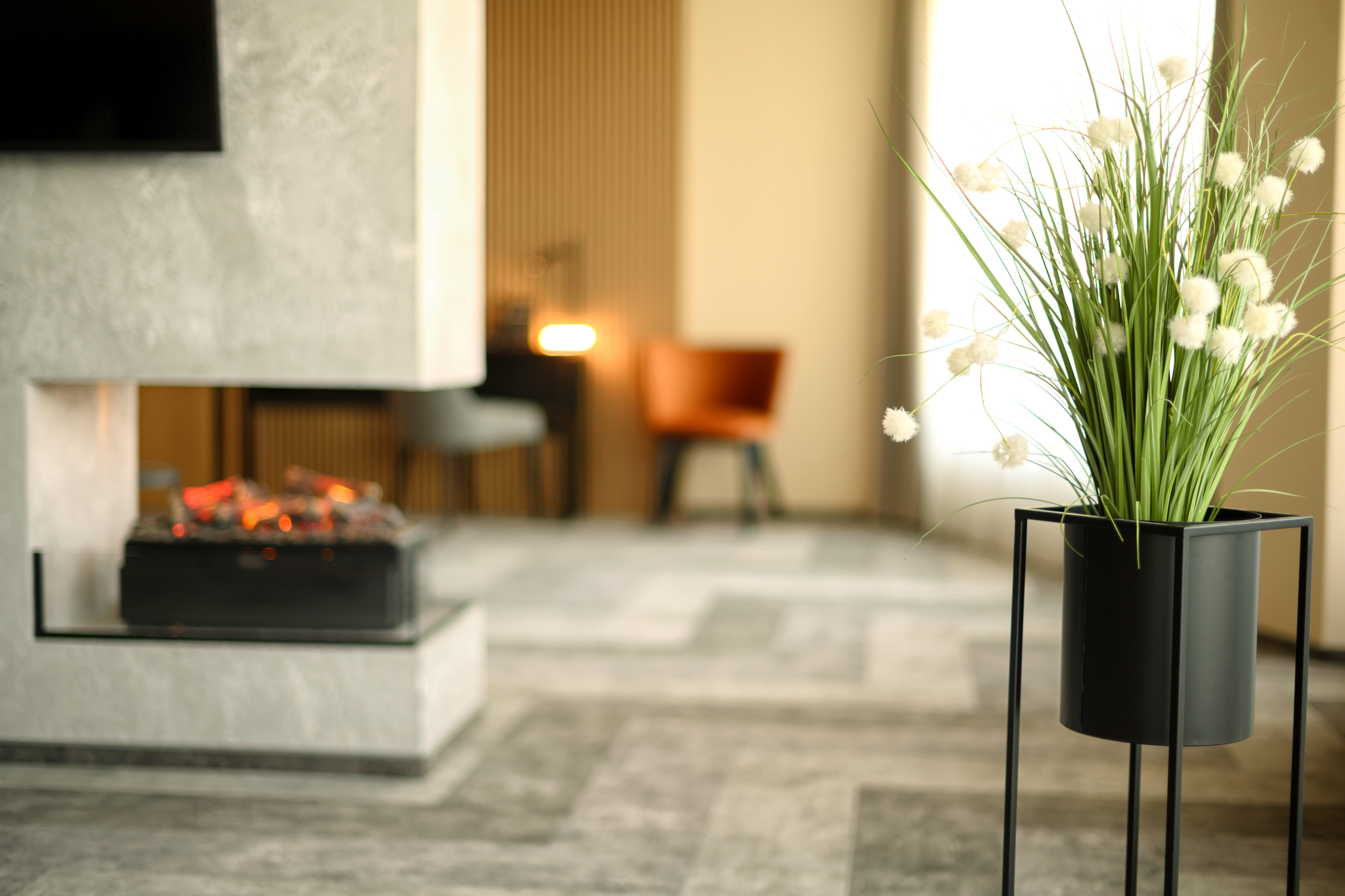 Президент СПА