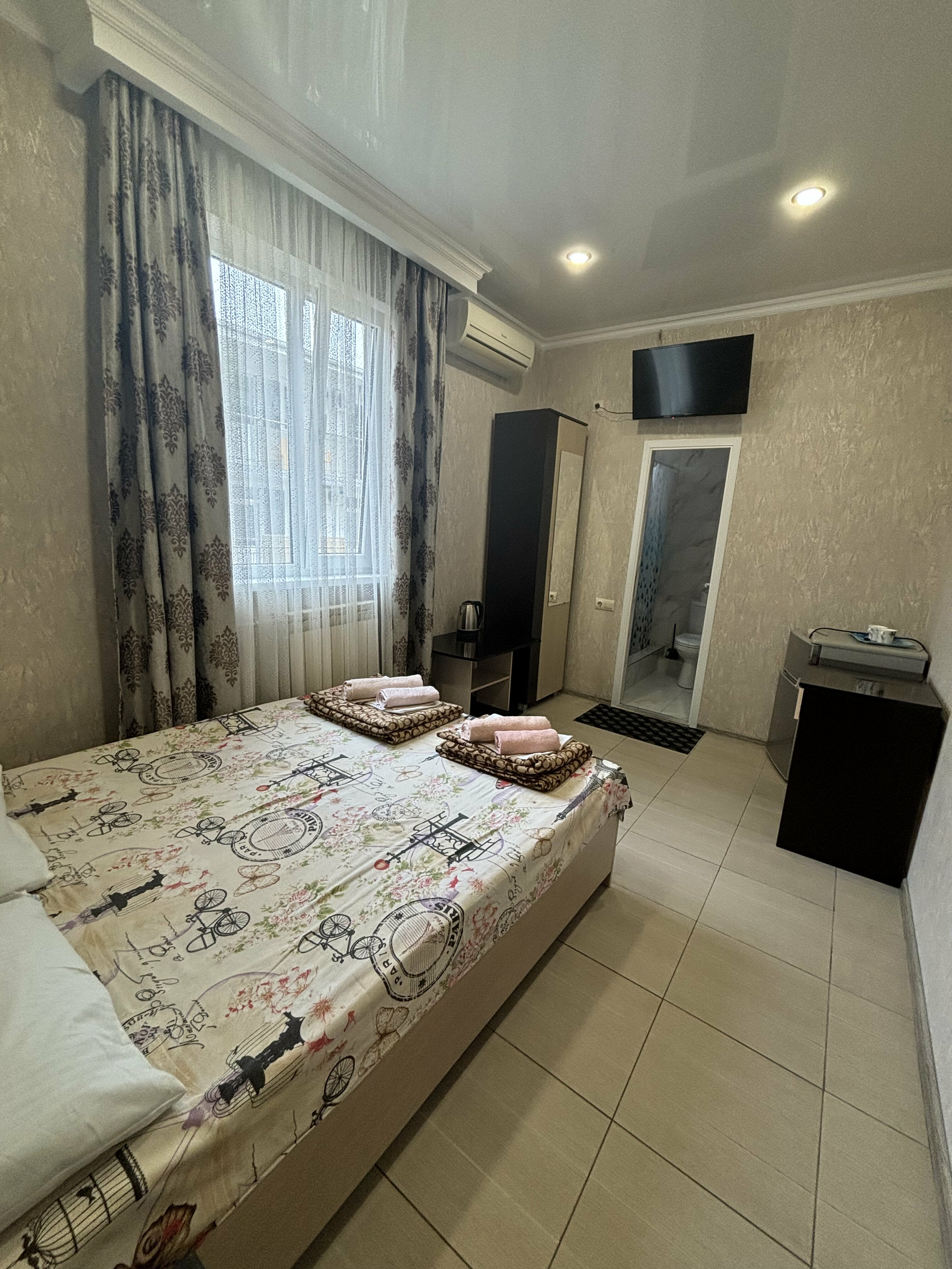 Двухместный номер с 1 кроватью и собственной ванной комнатой