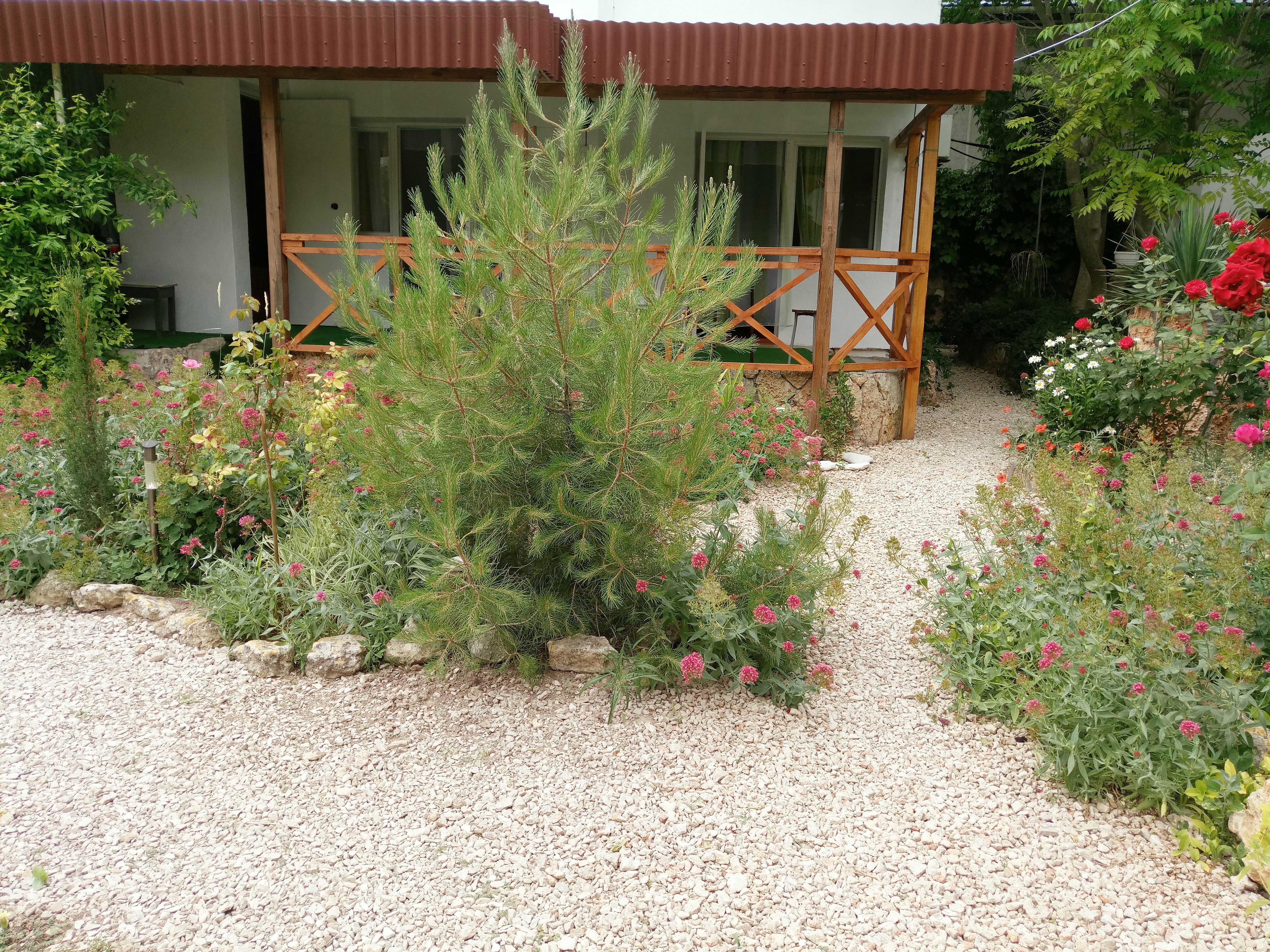 Семейный номер с террасой