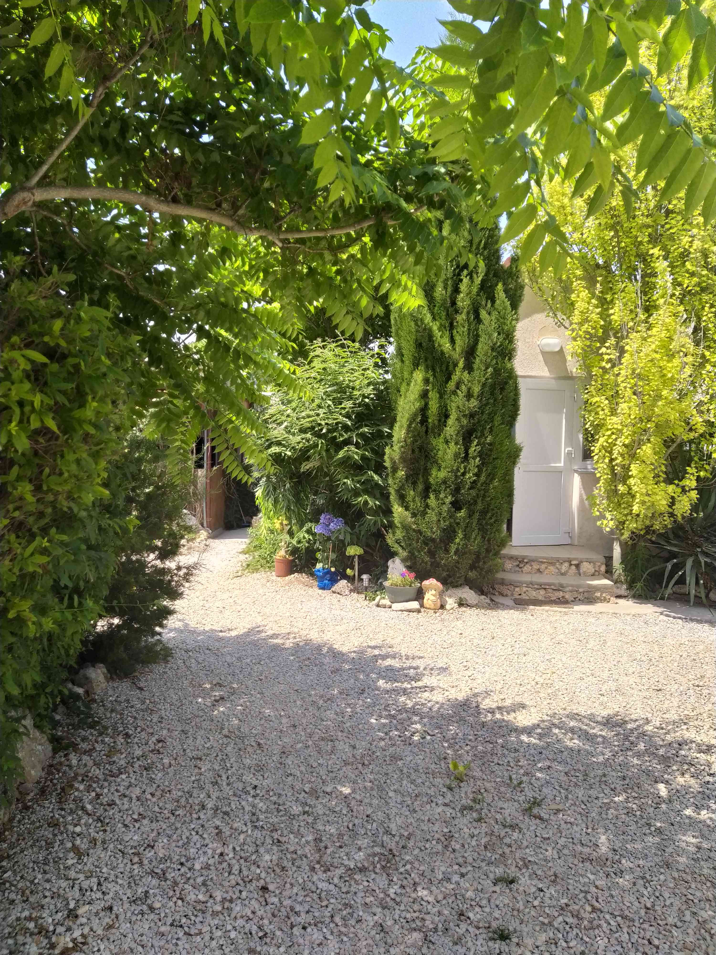 Классический четырехместный номер