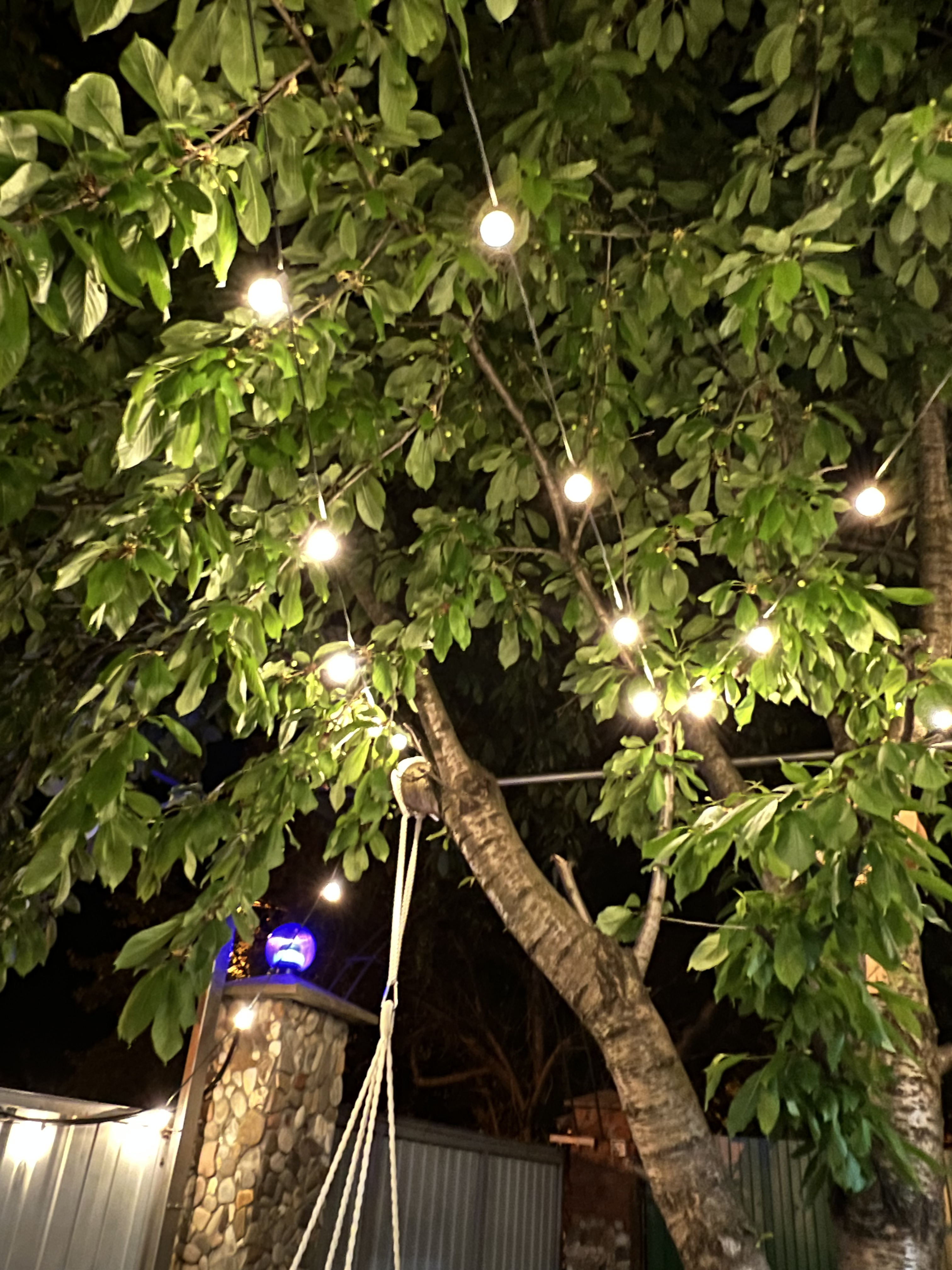 Семейный номер