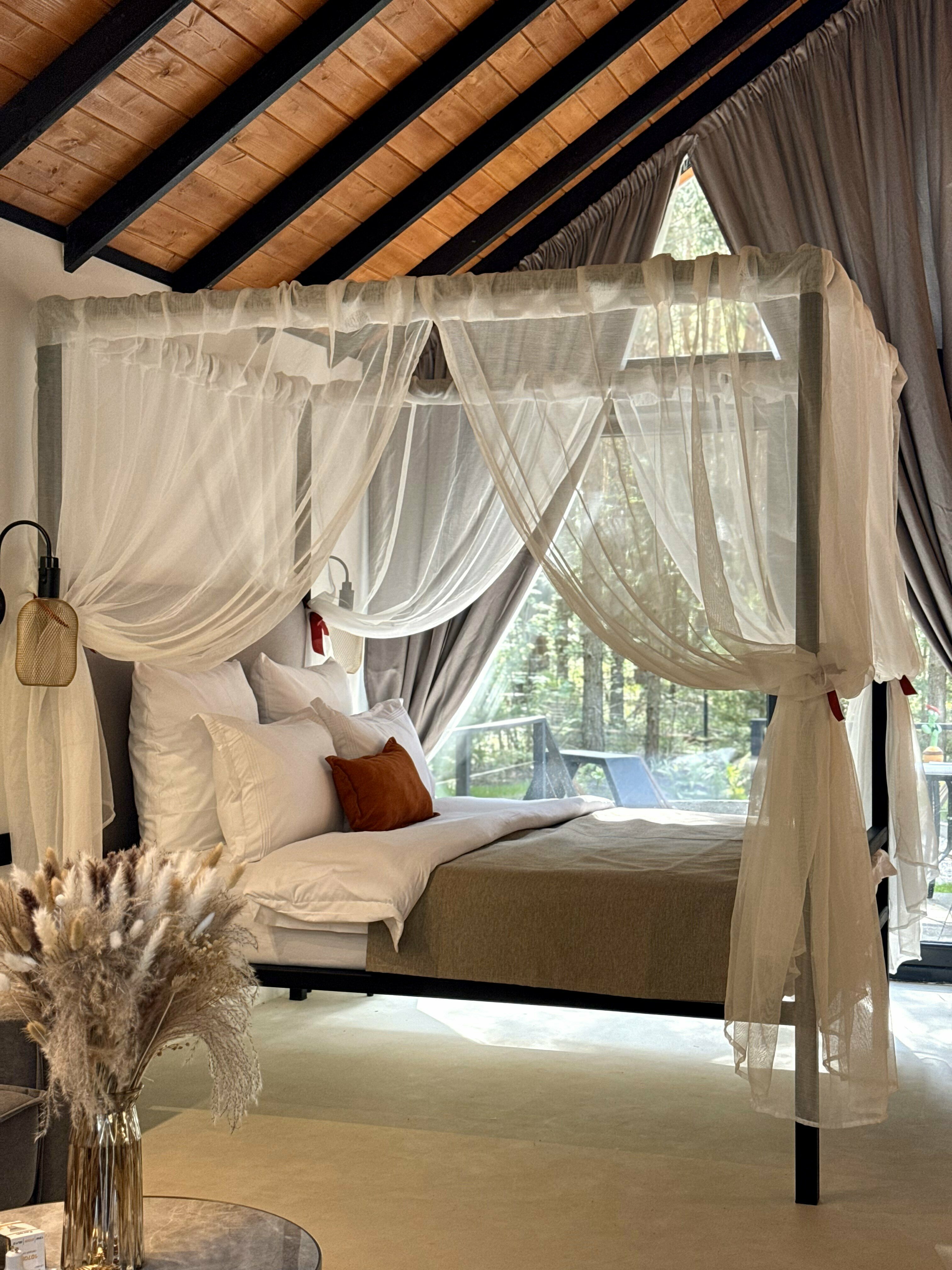 Дом с видом на лес