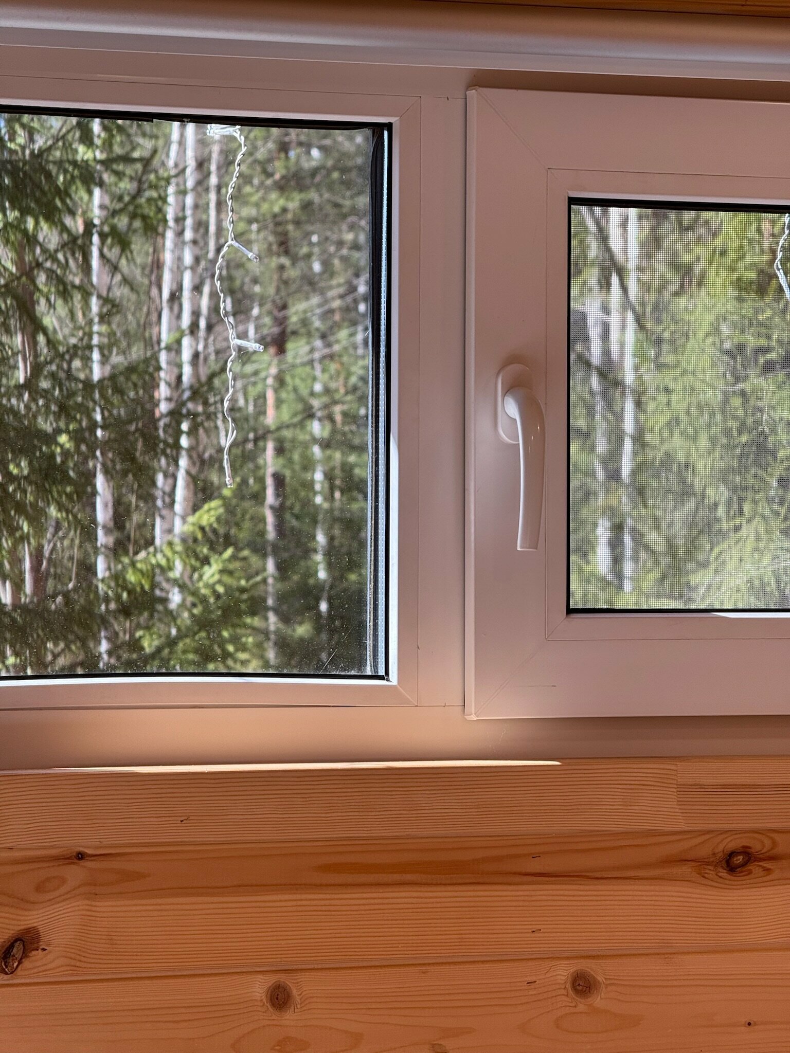 Дом с видом на лес