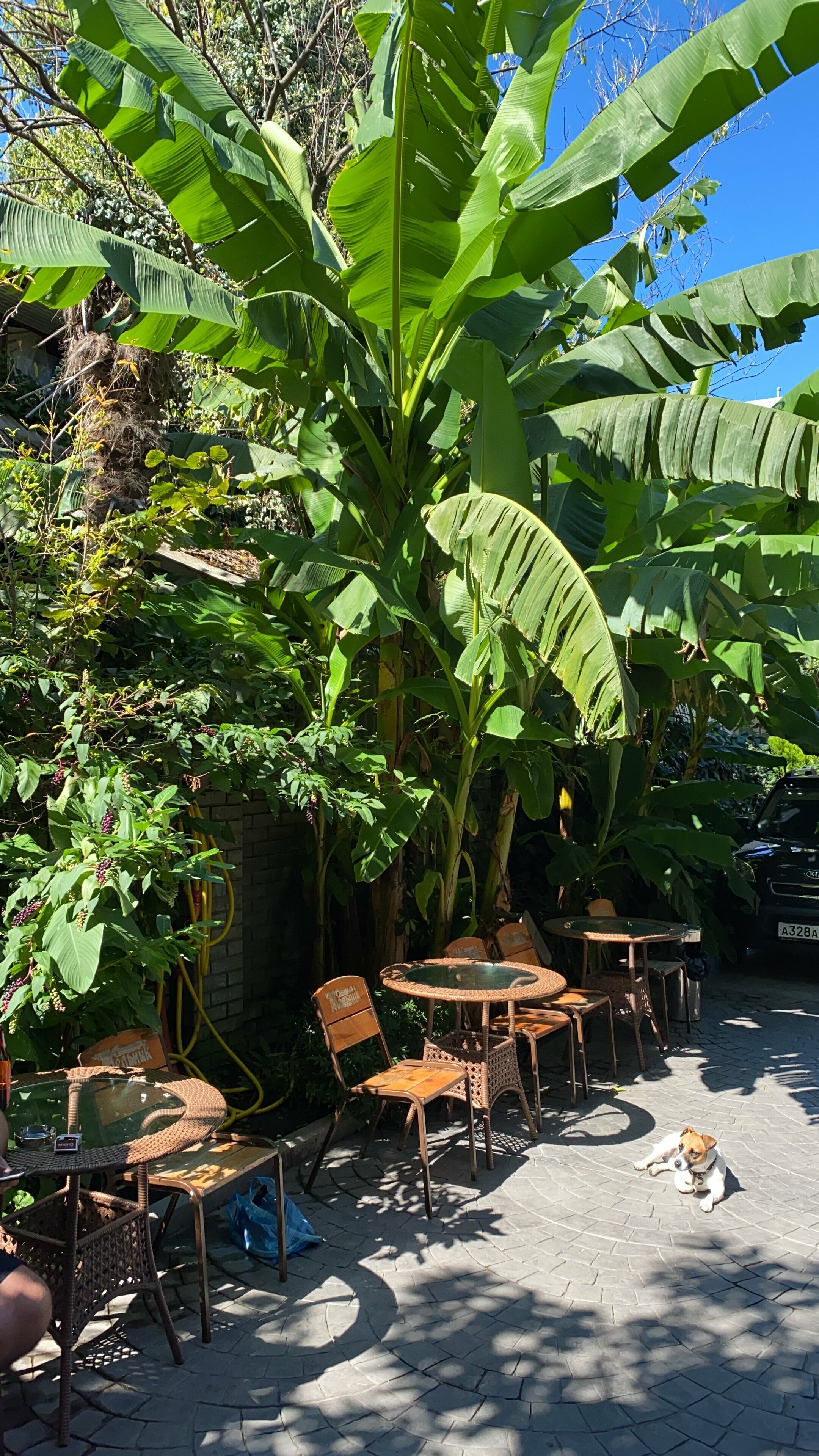 Общий номер для мужчин