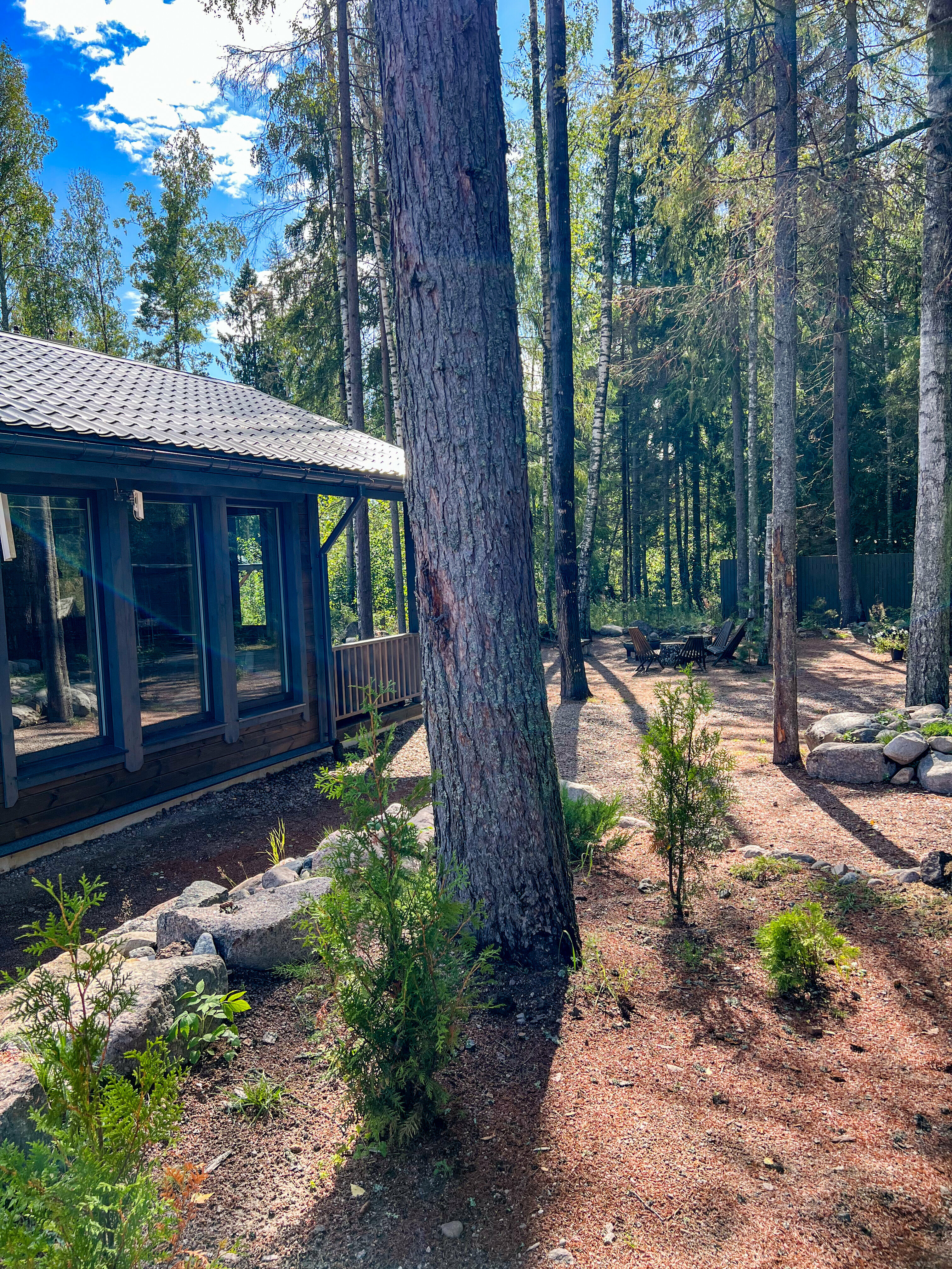 Дом с видом на лес