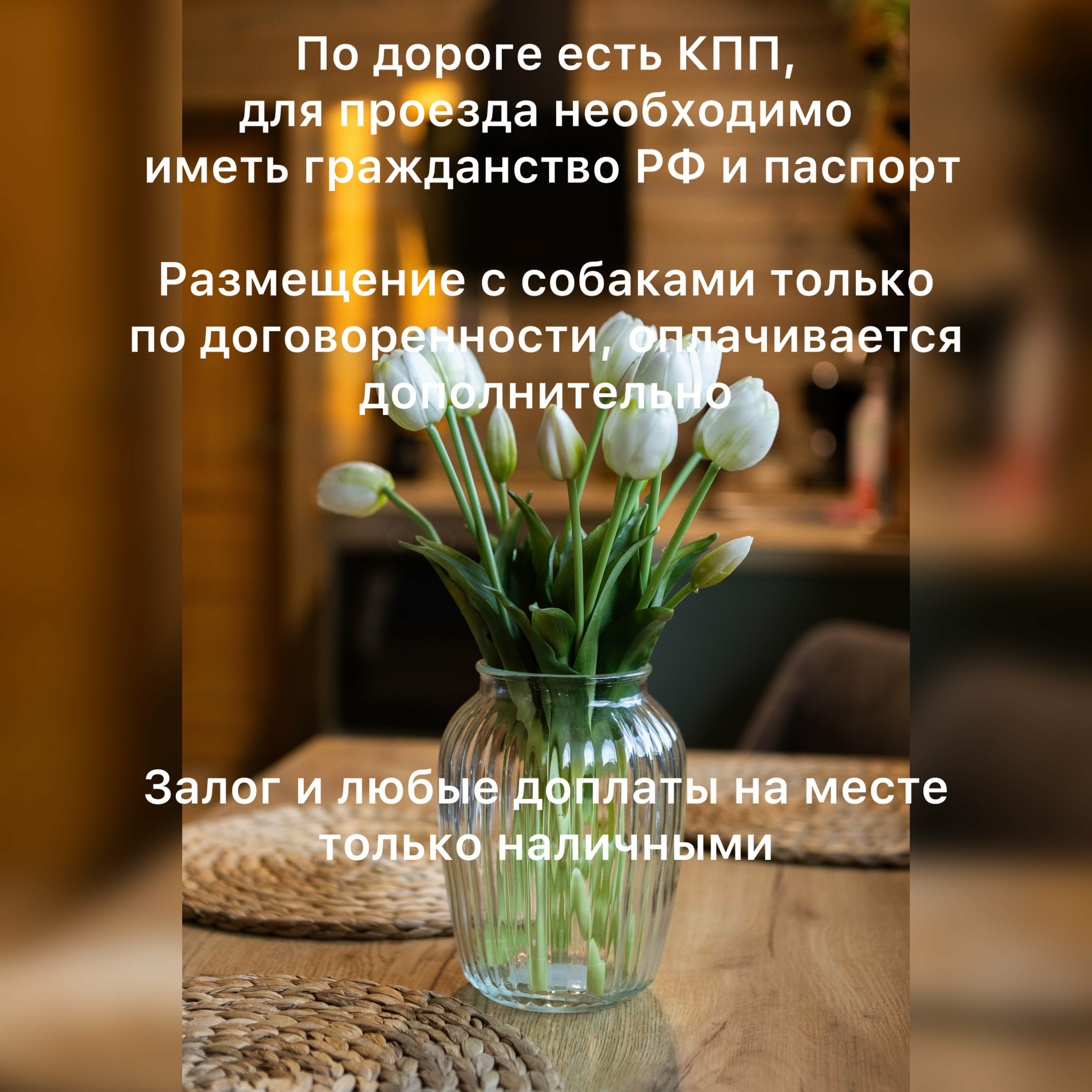 Дом с видом на лес