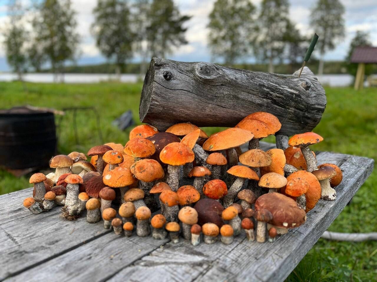 Дом Рыбака - Викула Ранта