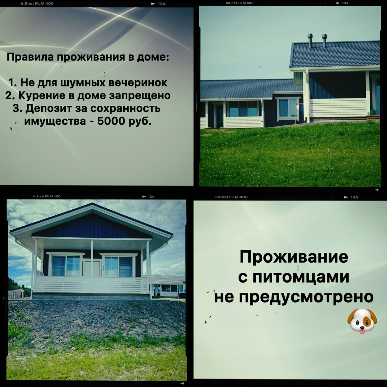 Черника в заливе 80м2 без питомцев