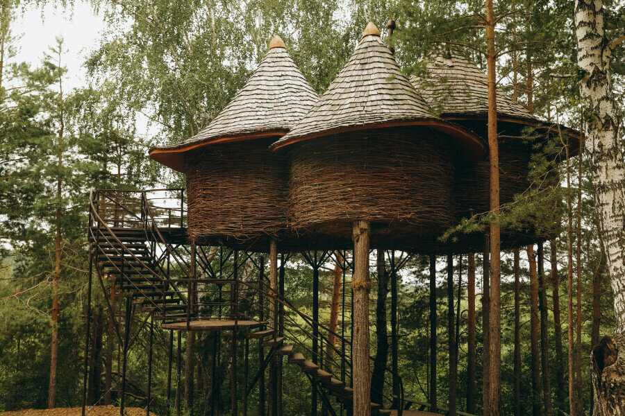 Гнездо Кукушки
