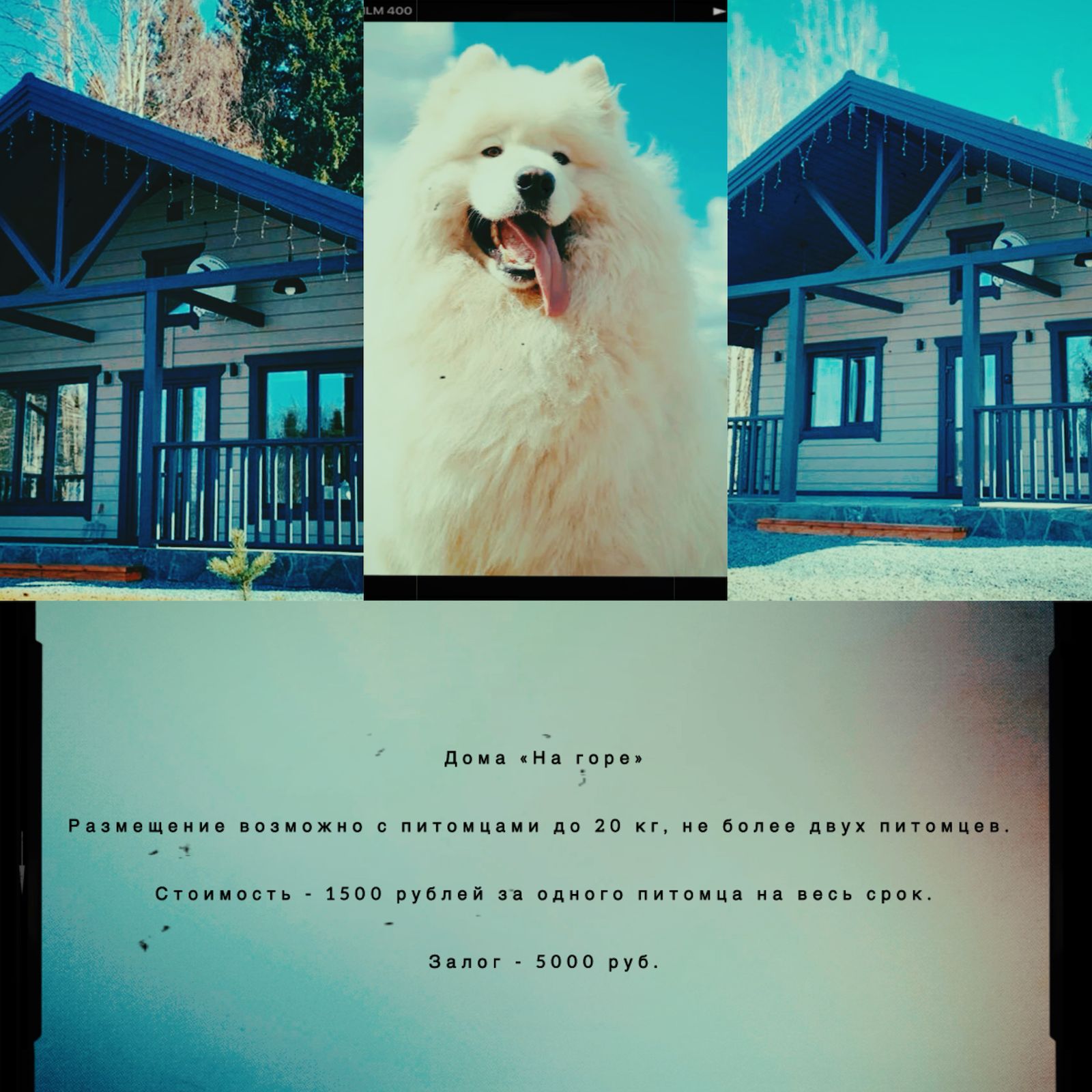 Дом на горе с сауной 65м2