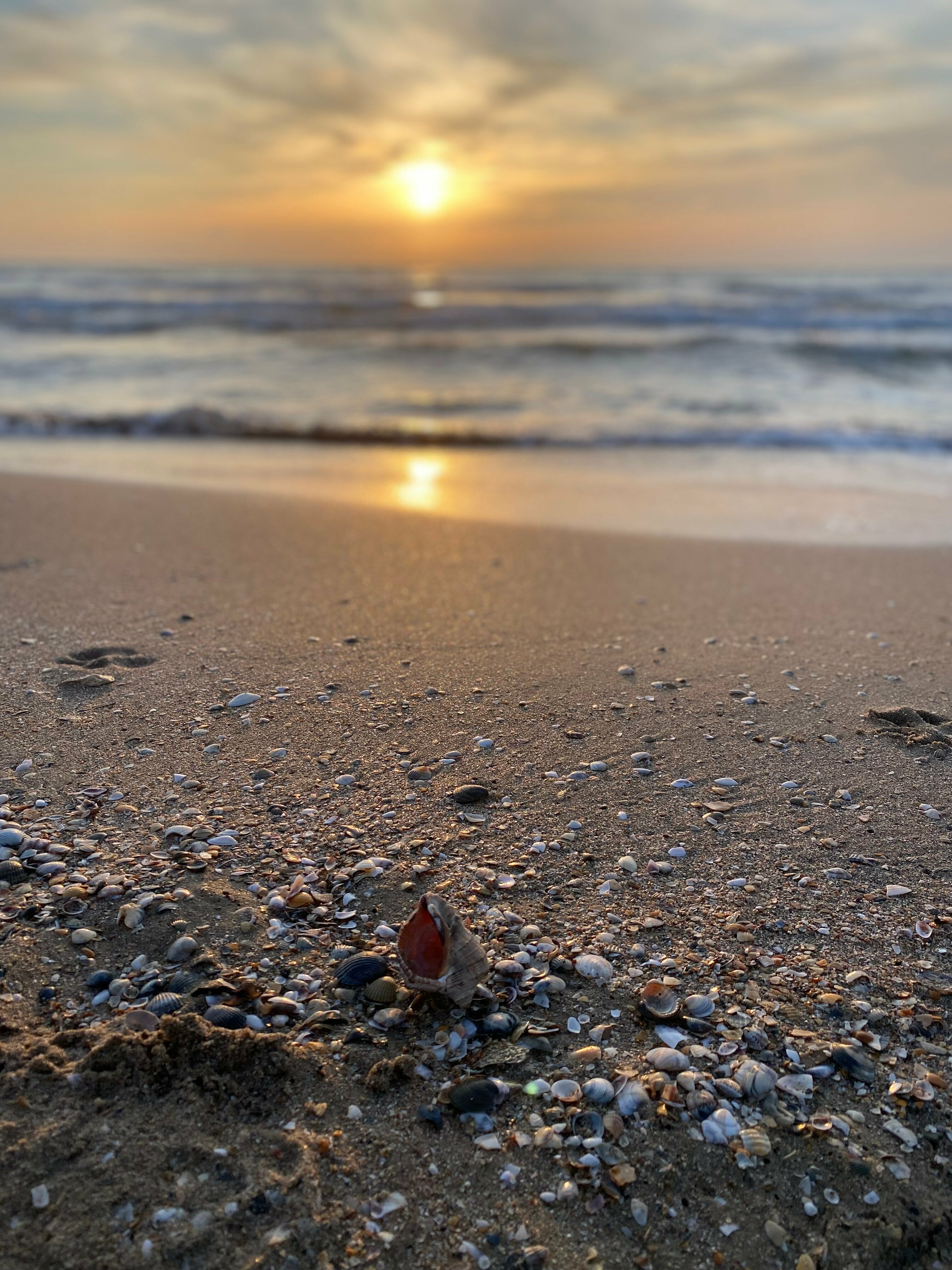 Дом – Рядом с пляжем