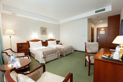 DELUXE TWIN в Гранд Отель Видгоф