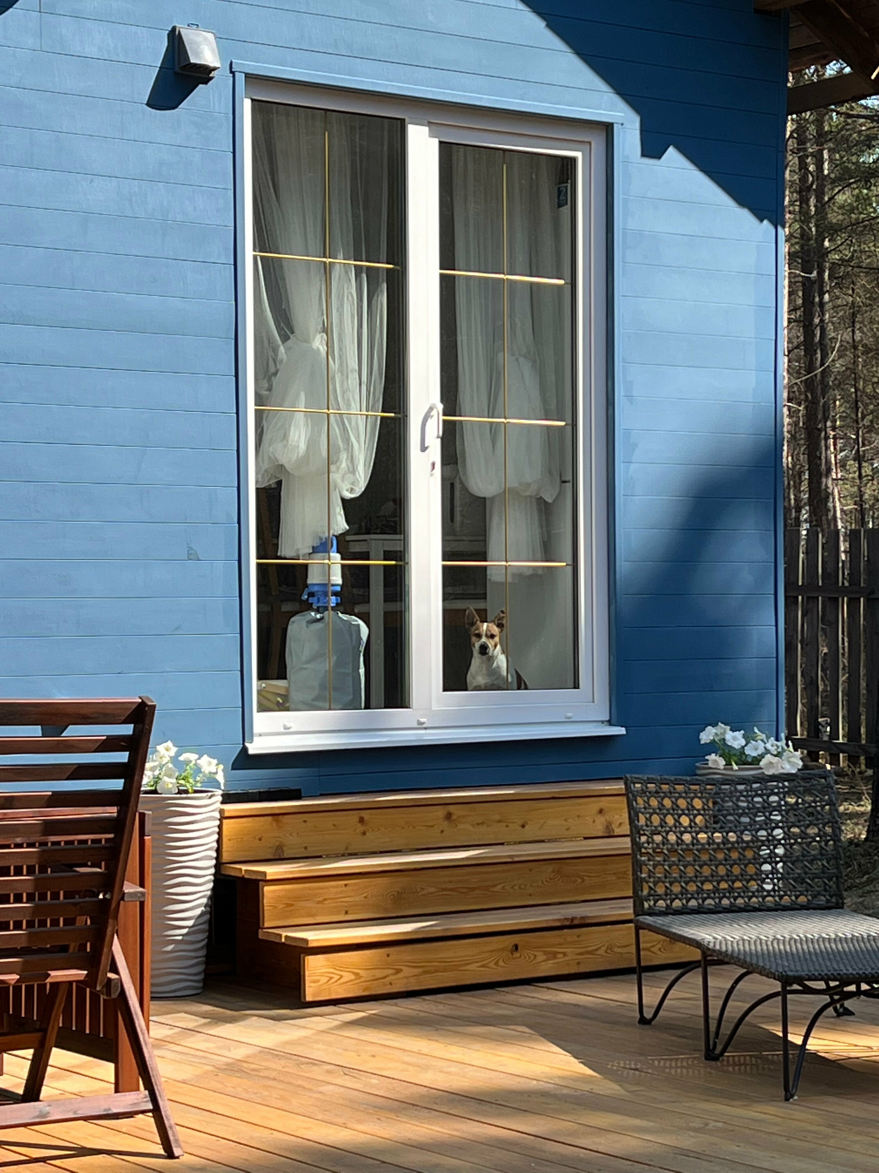 Дом с видом на лес