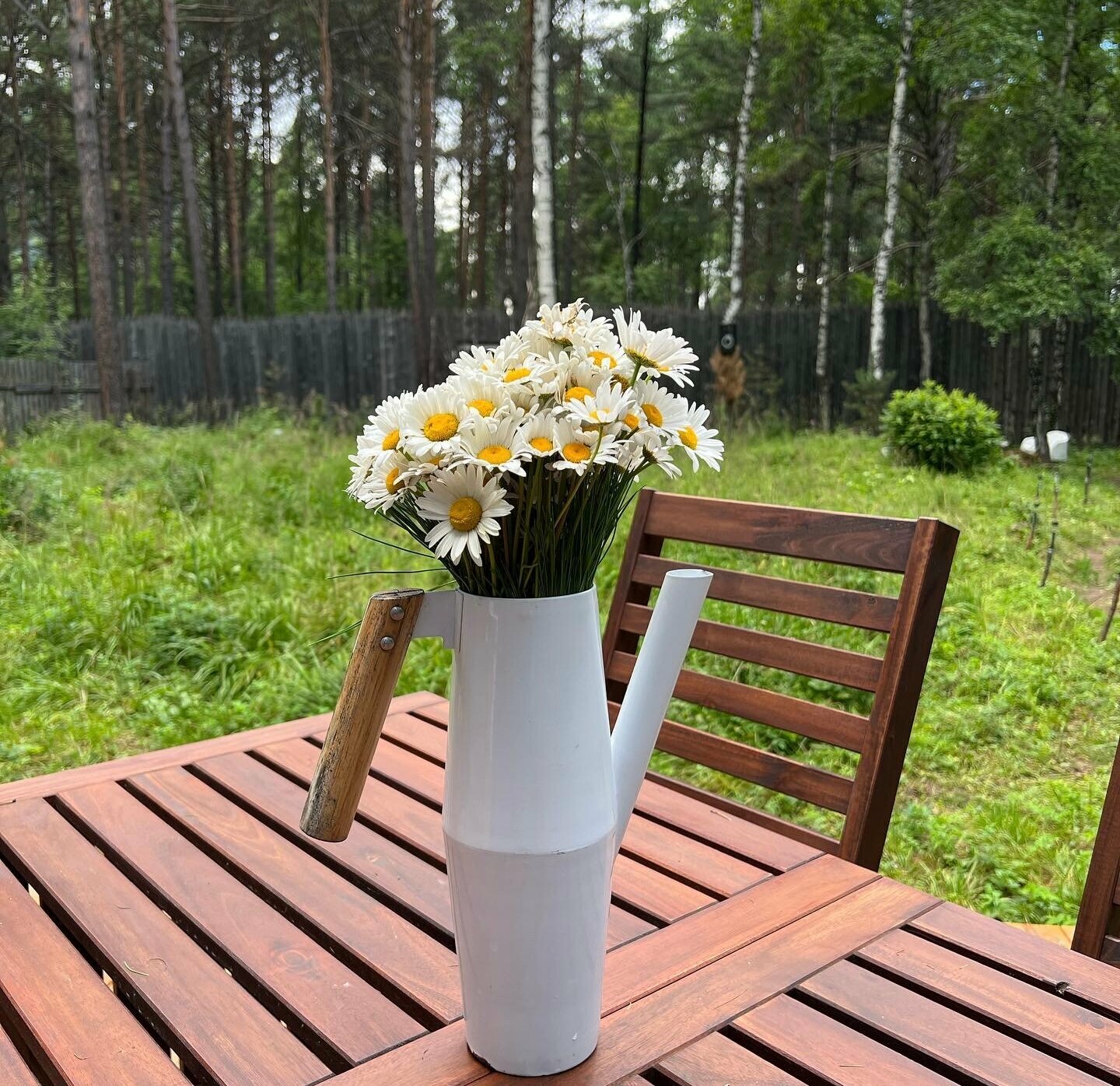 Дом с видом на лес