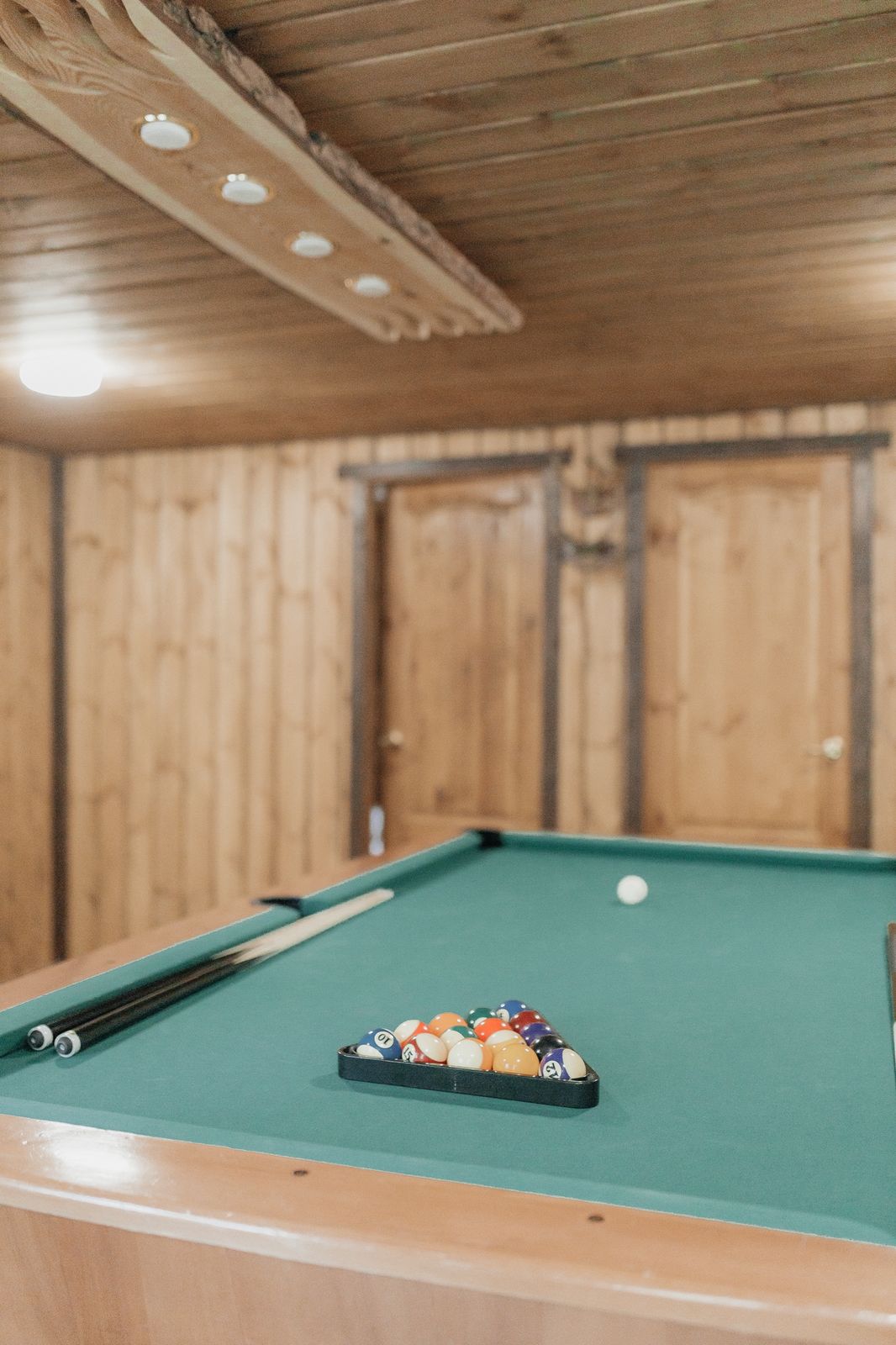 Дом с видом на лес