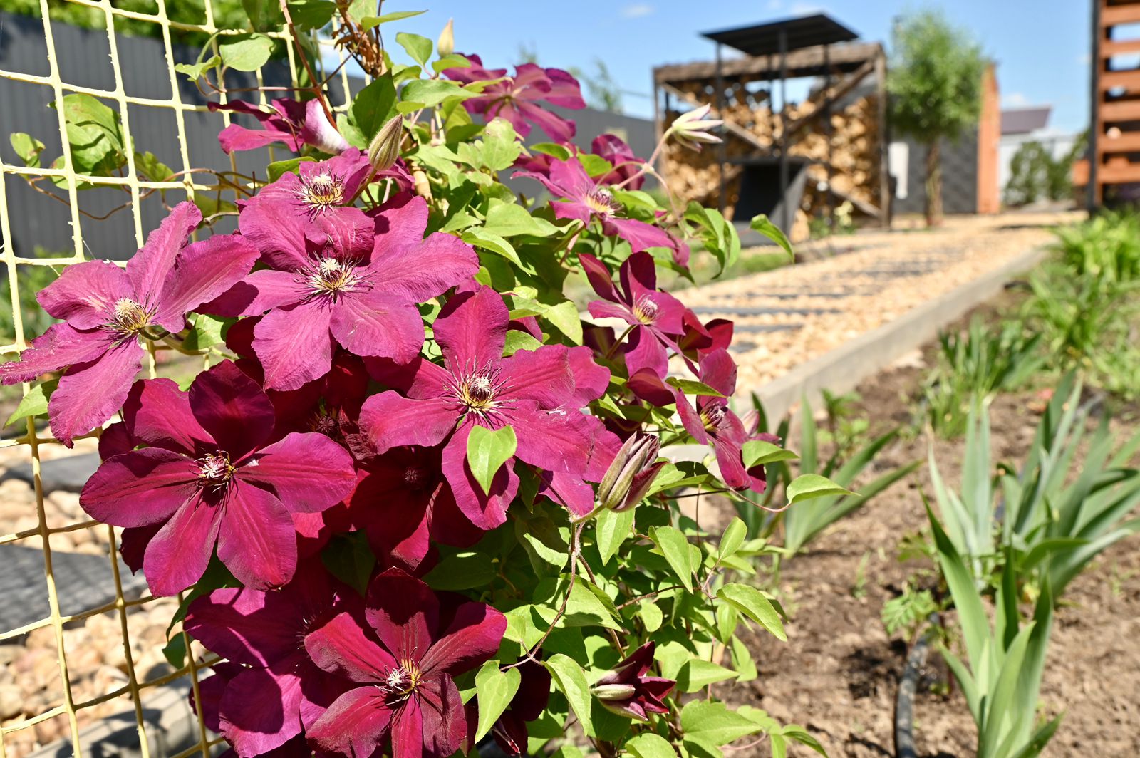 Дом для семейного отдыха