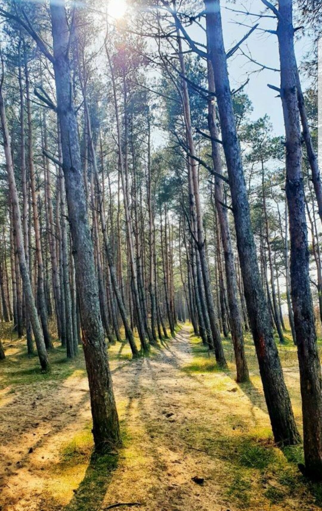 Домик и Море