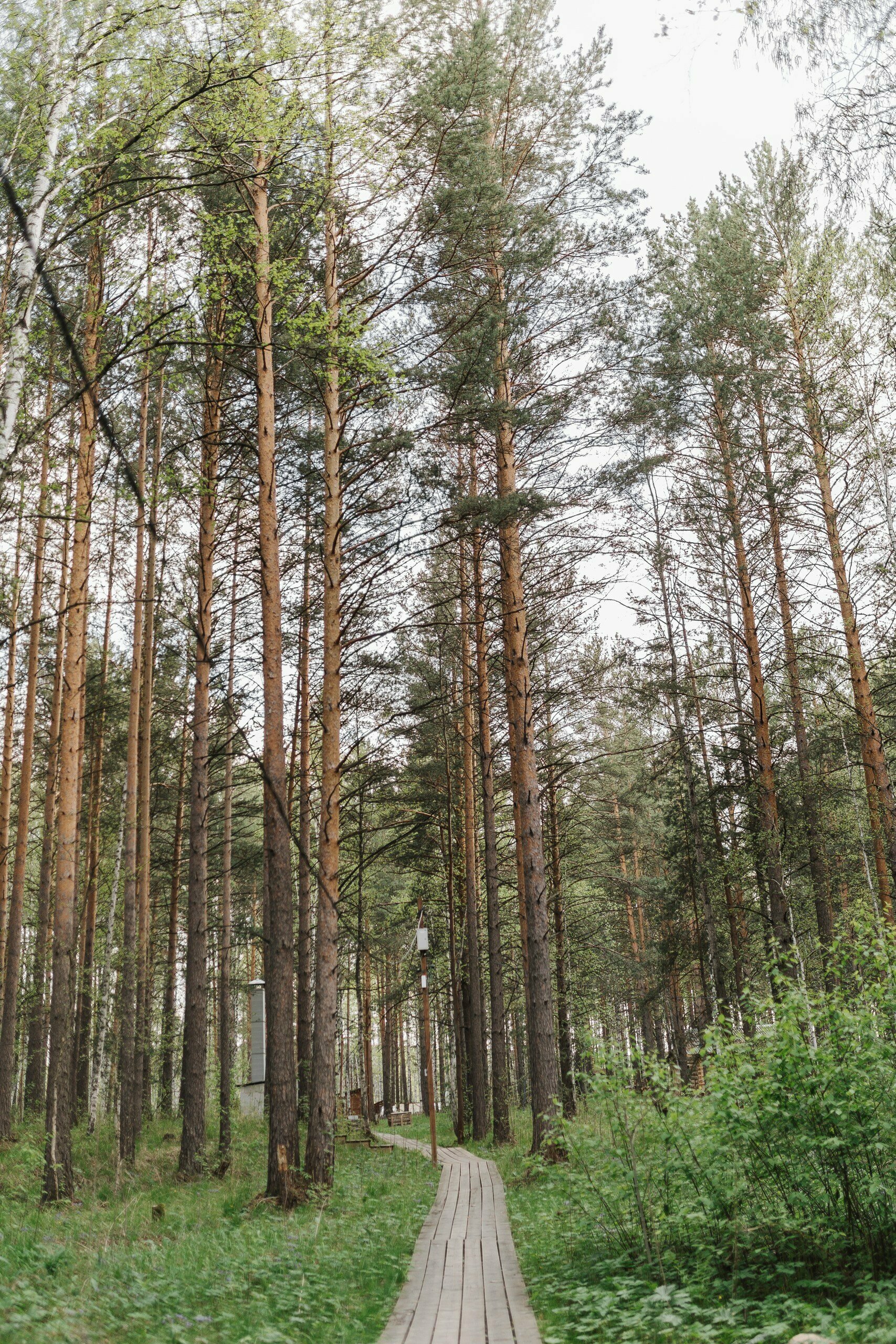 Двухместный номер с 1 кроватью