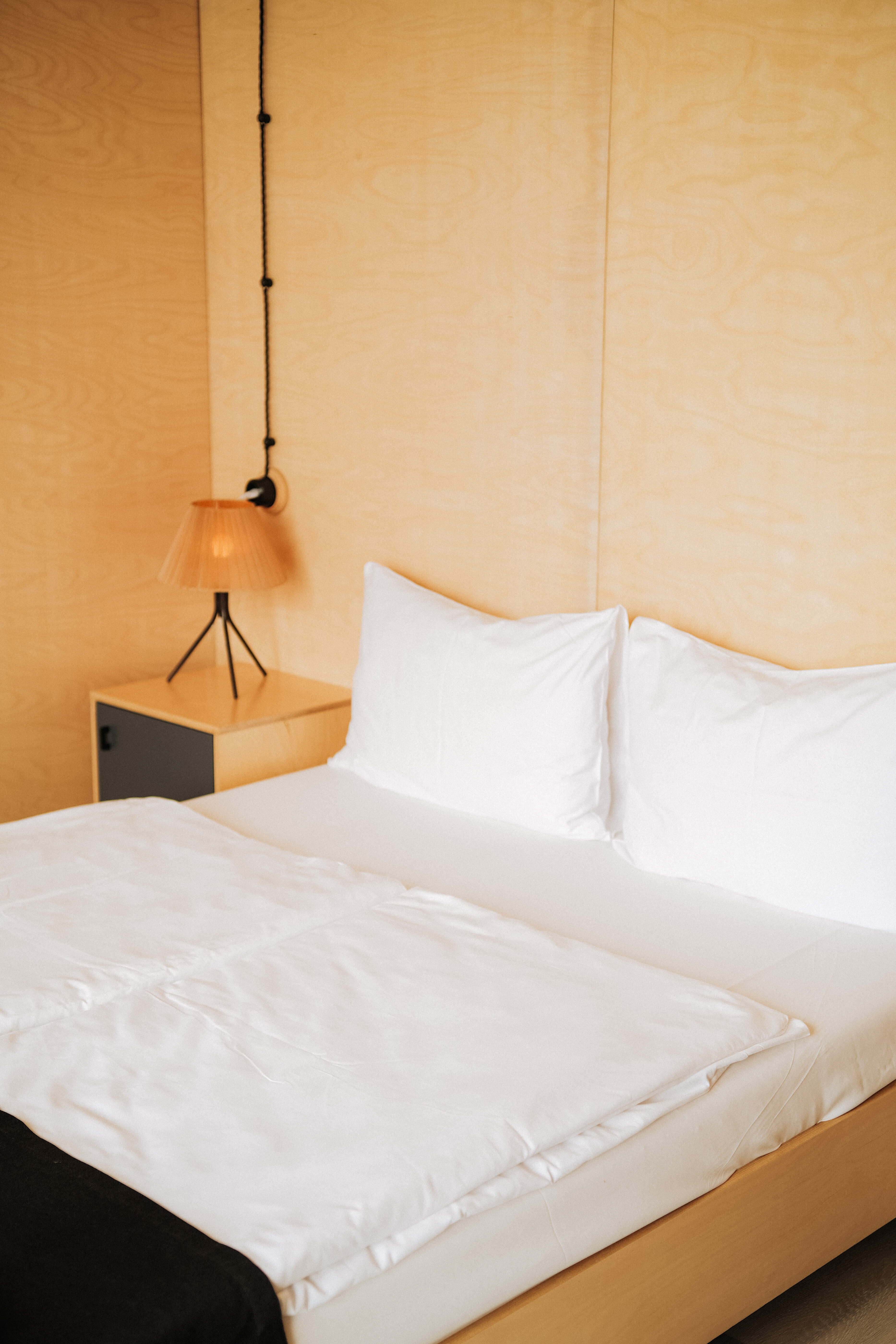 Дом малый с видом на арт-парк