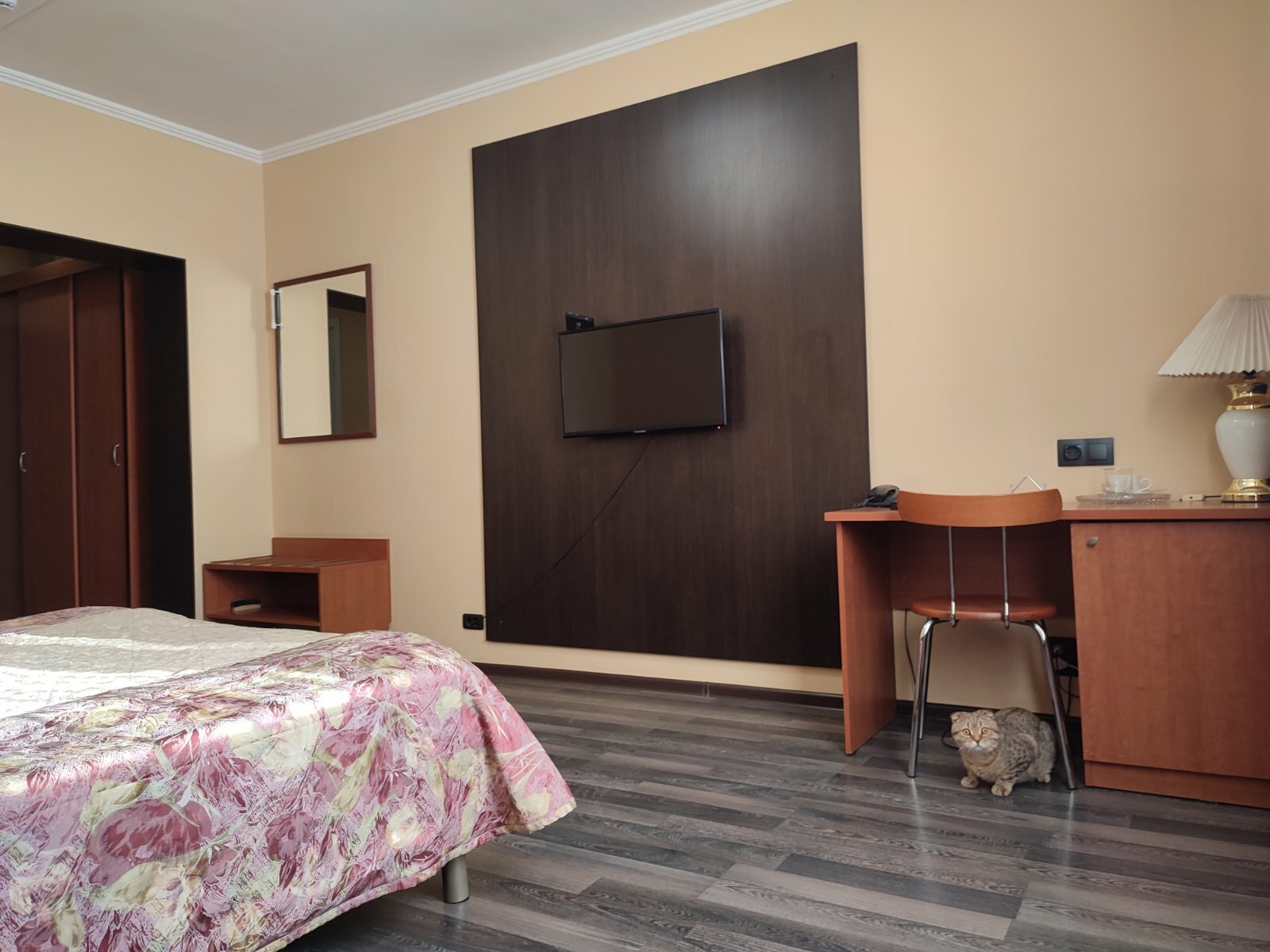 Двухместный номер с 1 кроватью