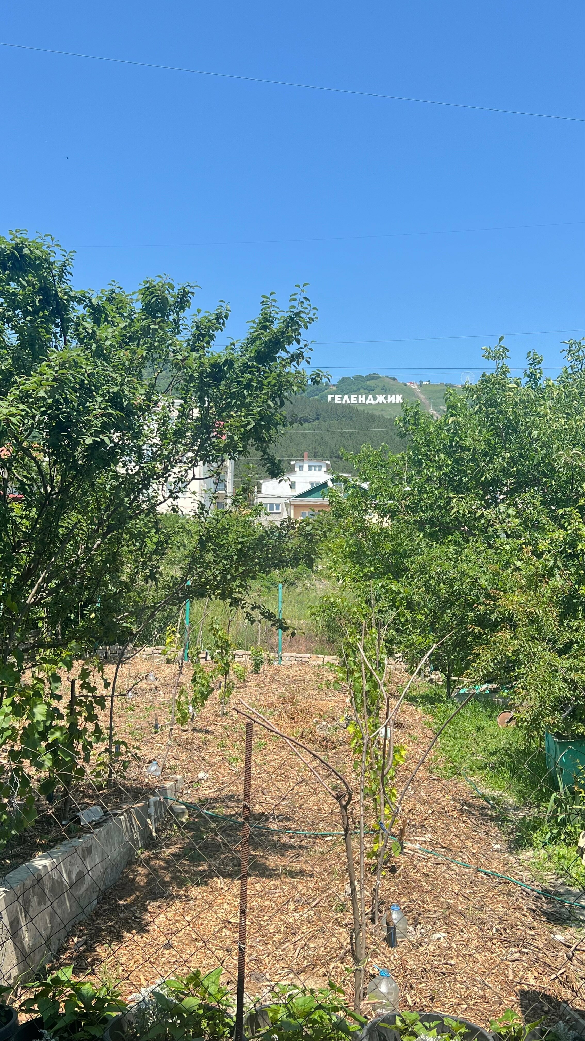 Четырехместный однокомнатный номер с видом на сад №4