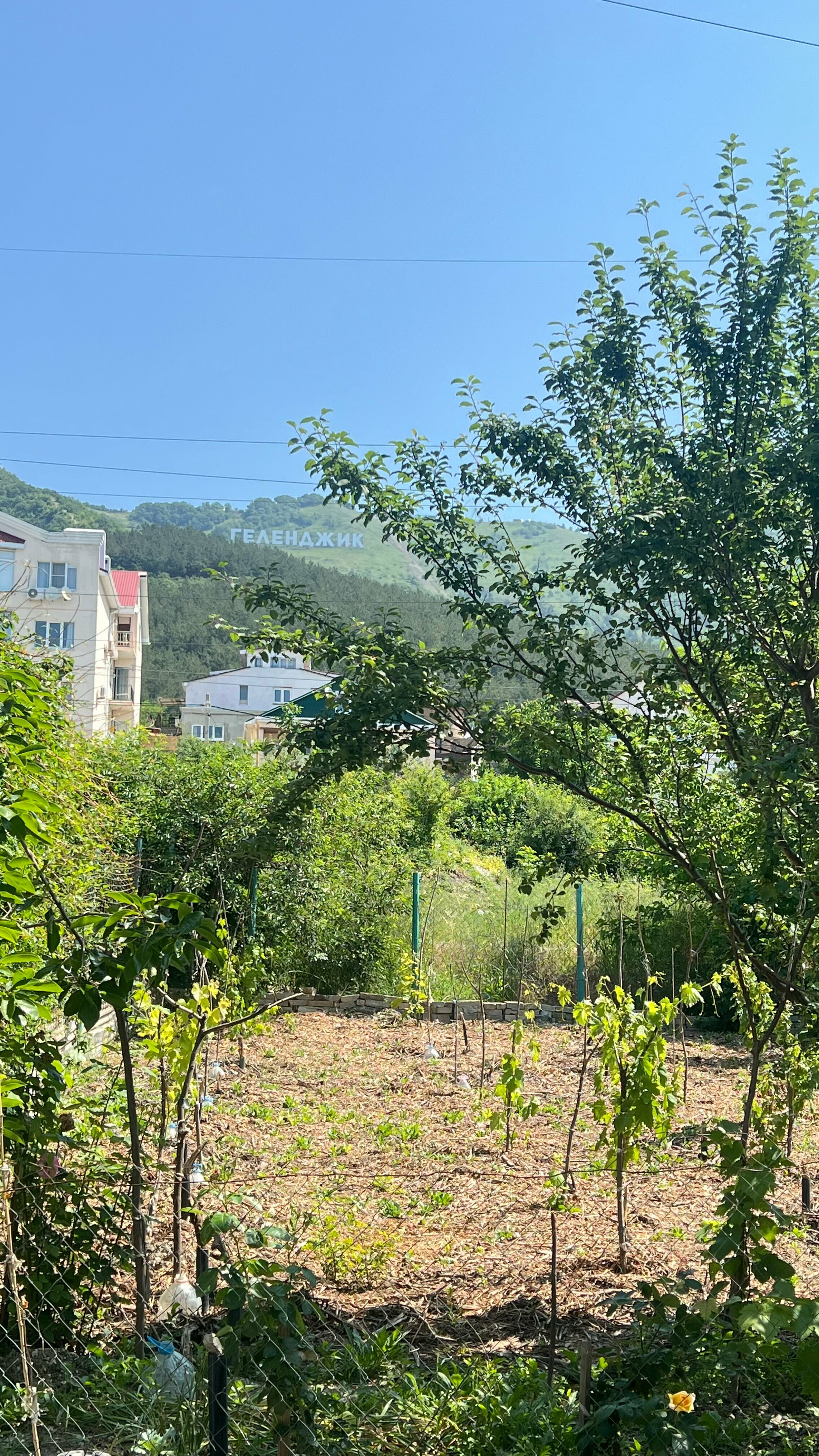 Двухместный номер Стандарт с видом на сад №3