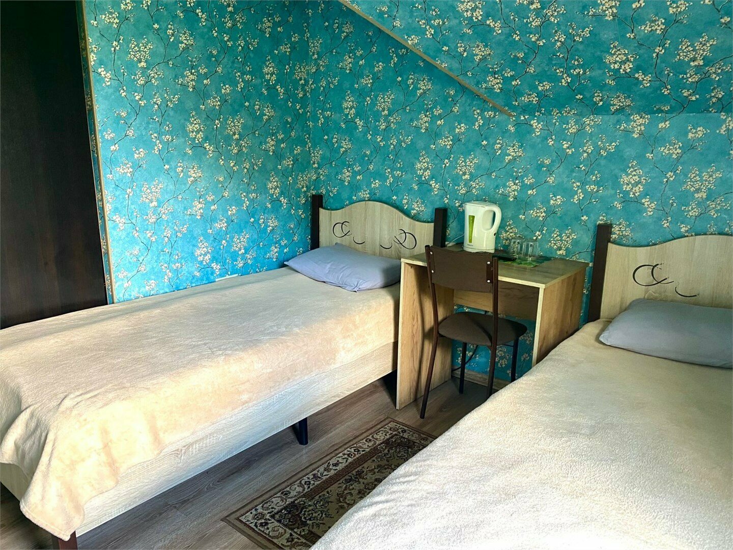 Двухместный номер с 2 отдельными кроватями и душем