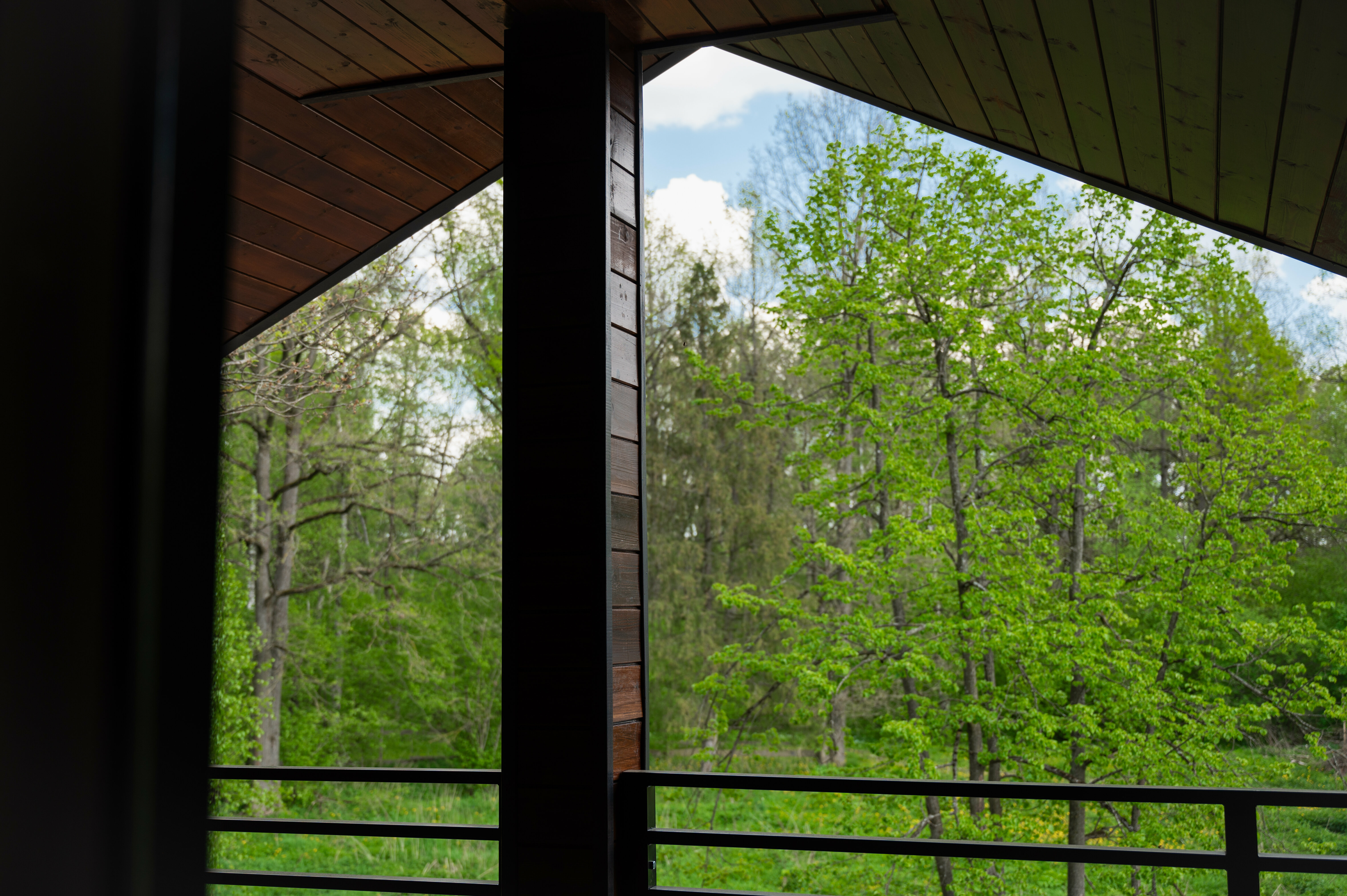 Дом с видом на лес 190кв.м.