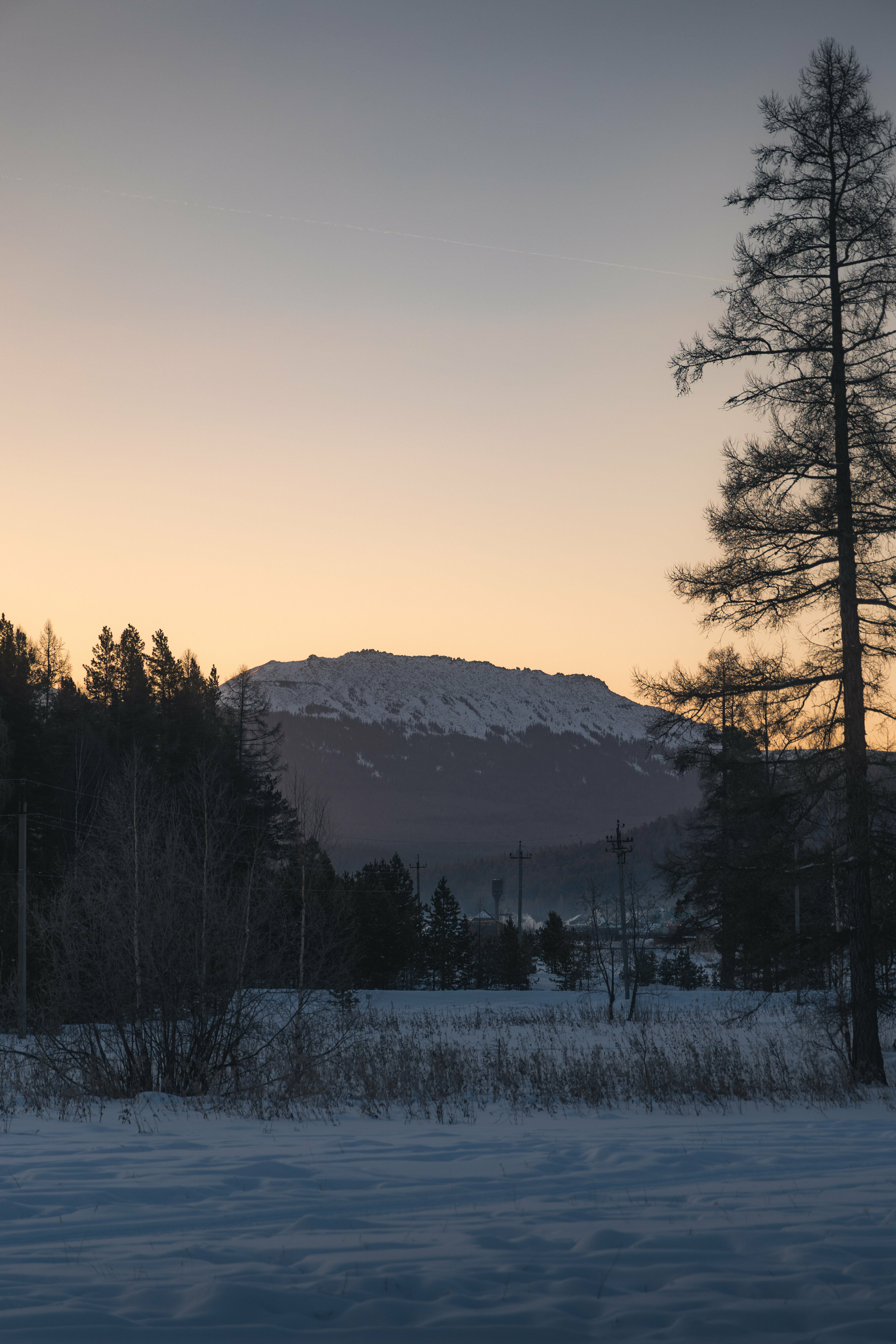 Дом с видом на лес и горы
