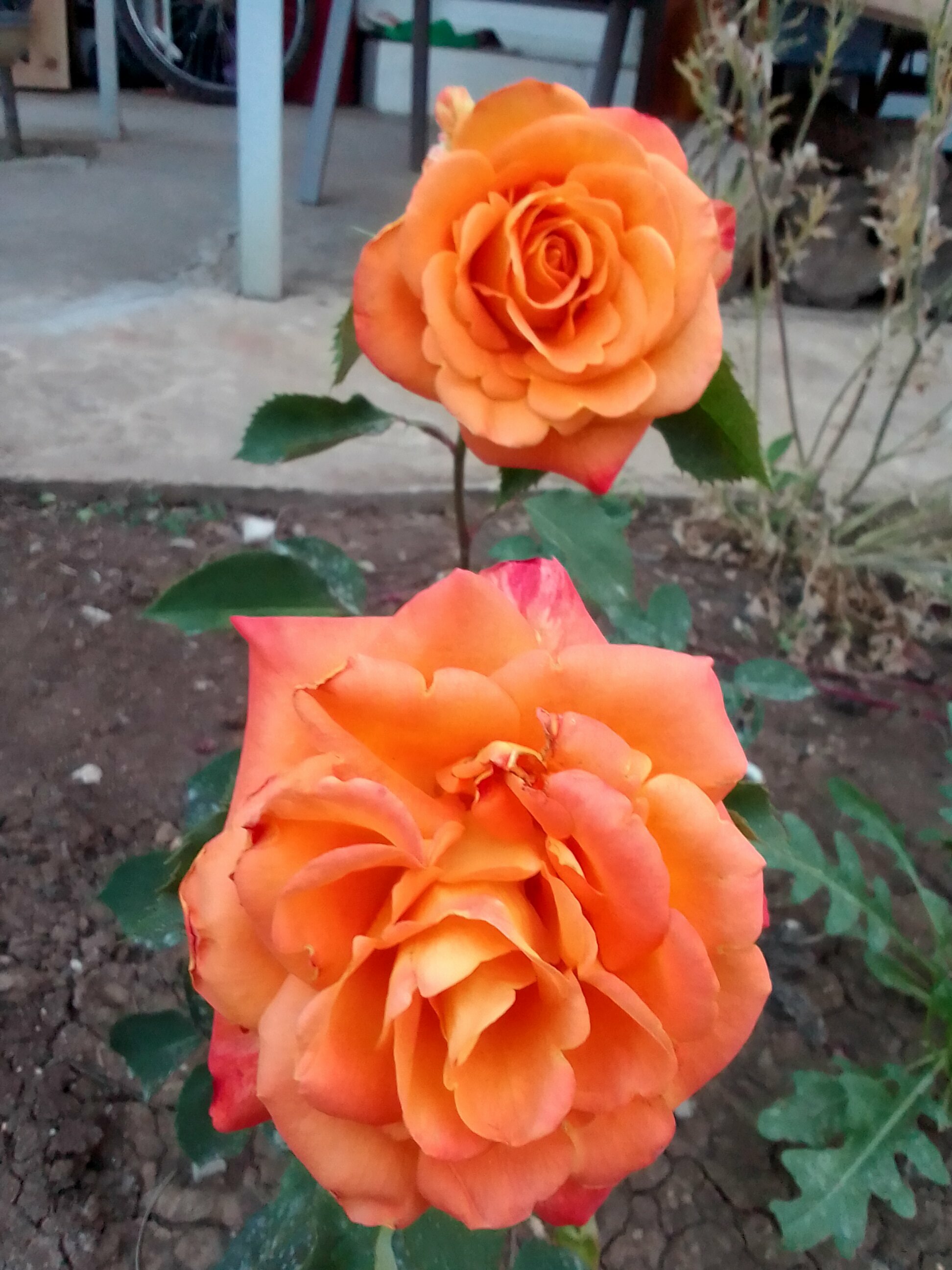 Четырехместный номер с двуспальной кроватью