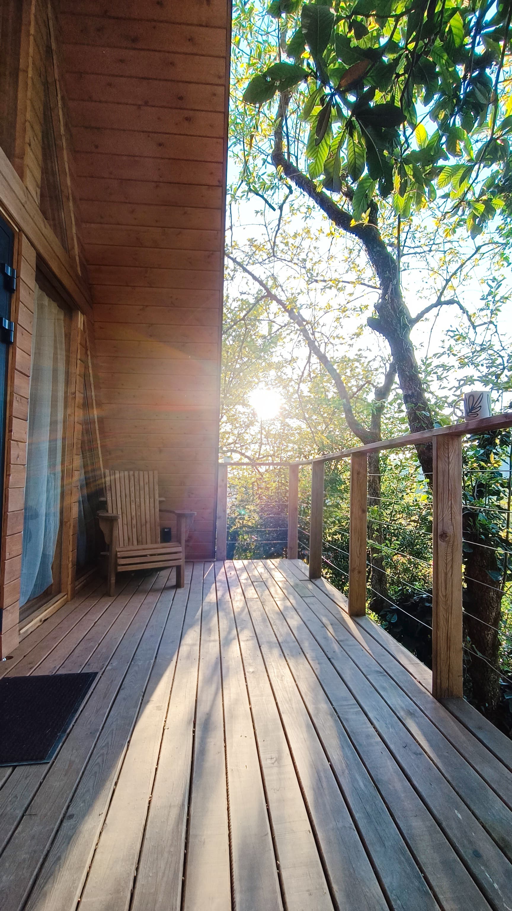 Дом с видом на лес