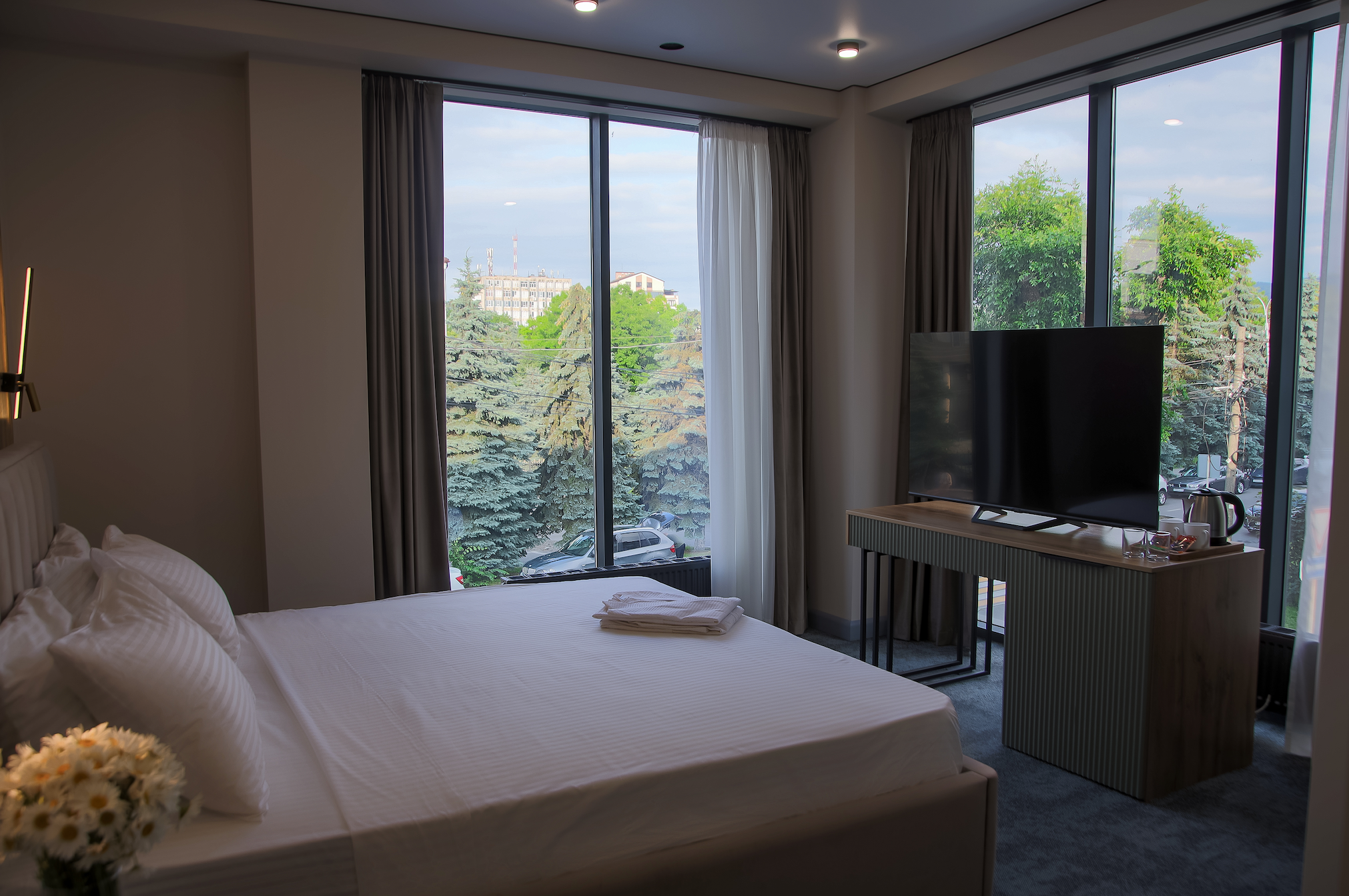 Двухместный номер Делюкс с 1 кроватью