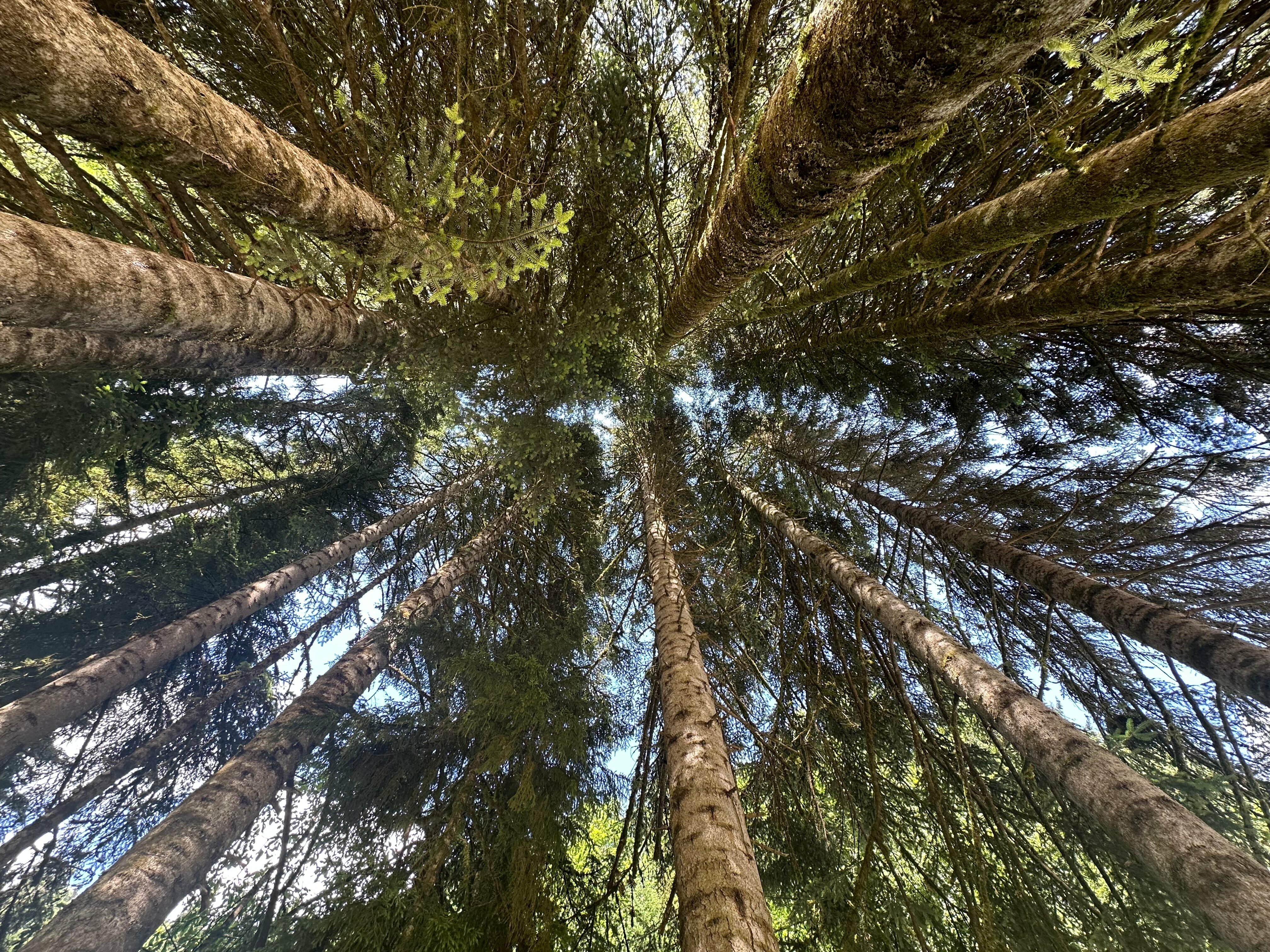 Двухместный номер Делюкс с 1 кроватью или 2 отдельными кроватями и балконом