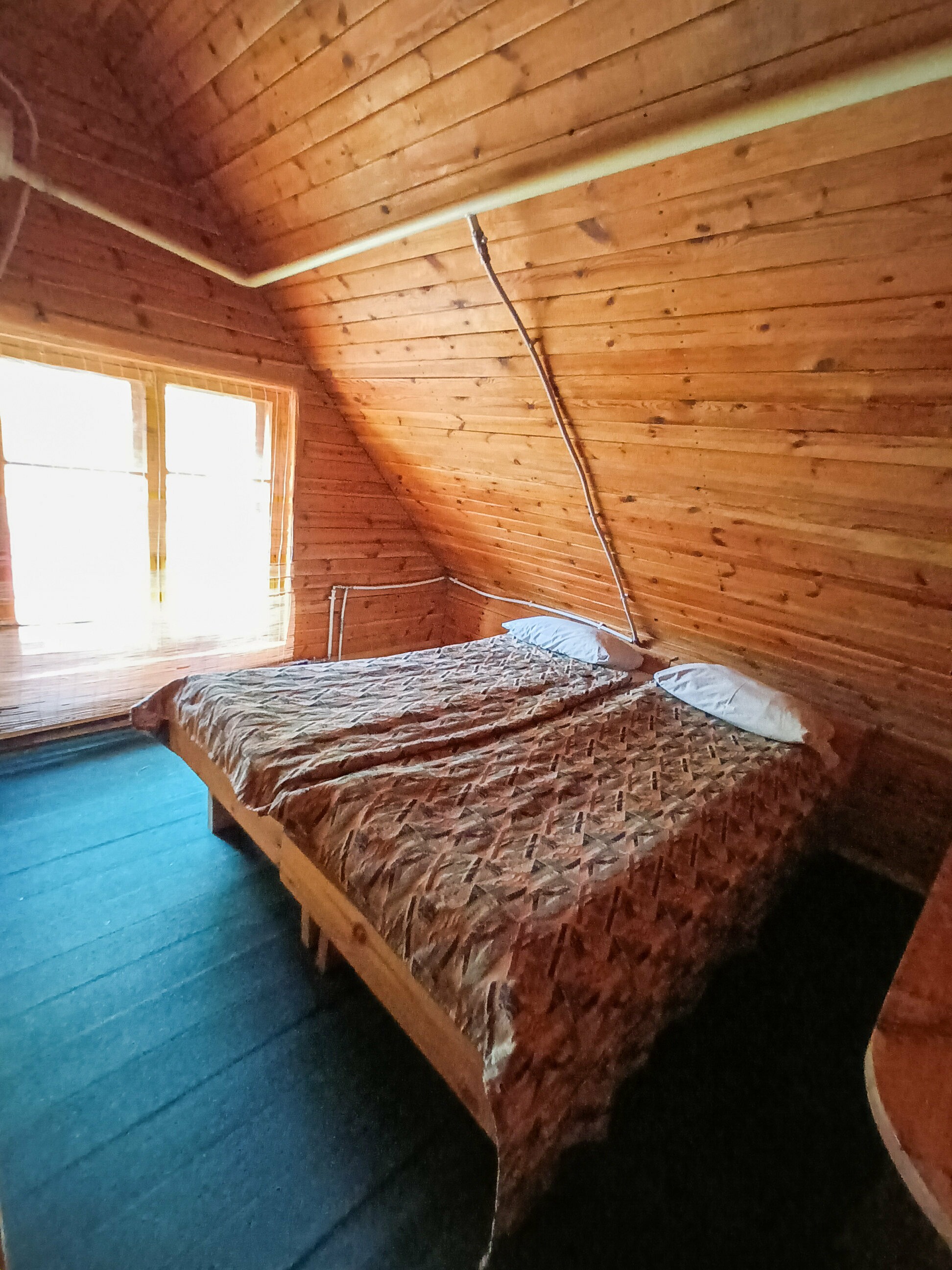 Дом с видом на лес